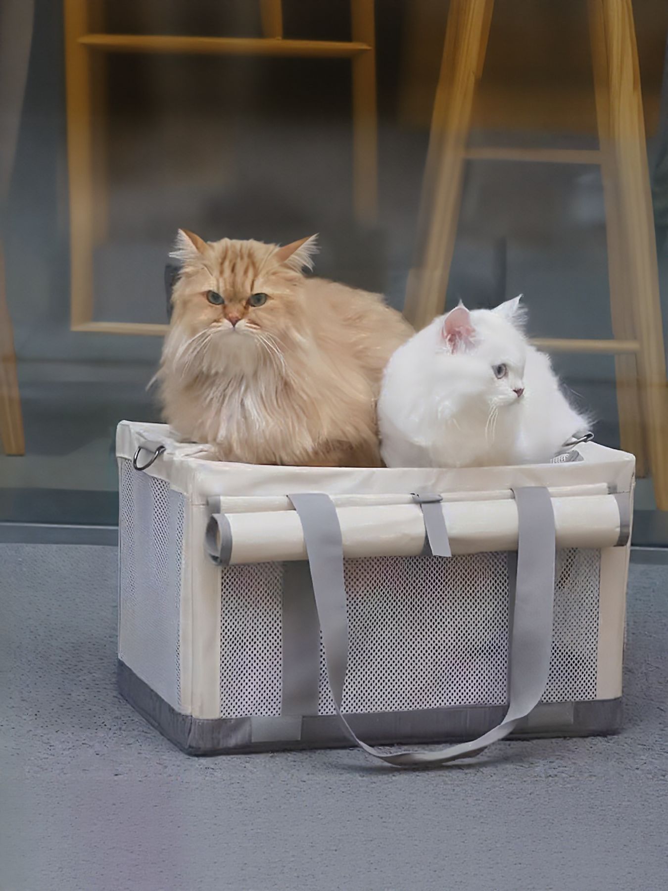 Portable Breathable Pet Carrier Bag - Loving It Shop