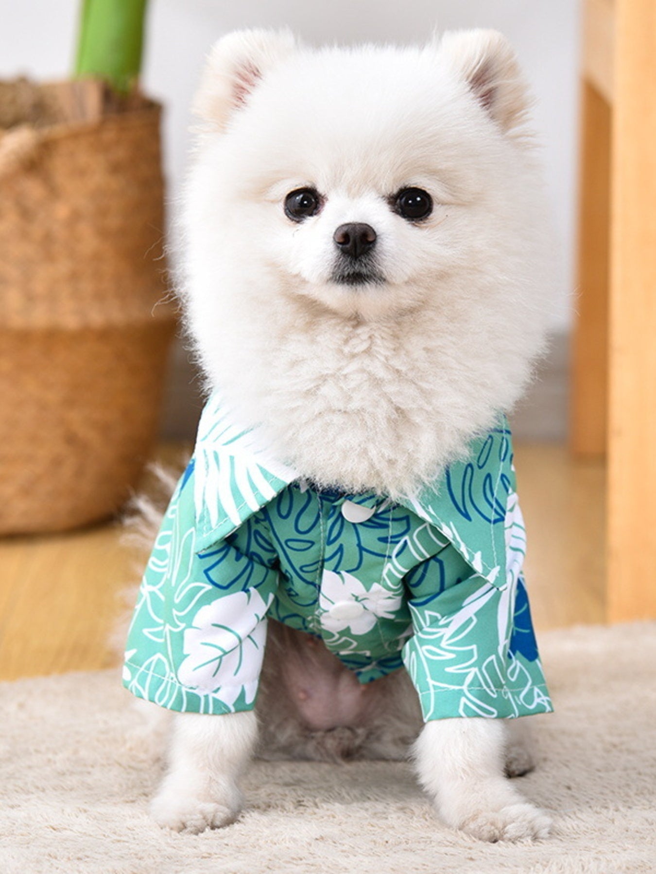 Lightweight Pet Top - Loving It Shop