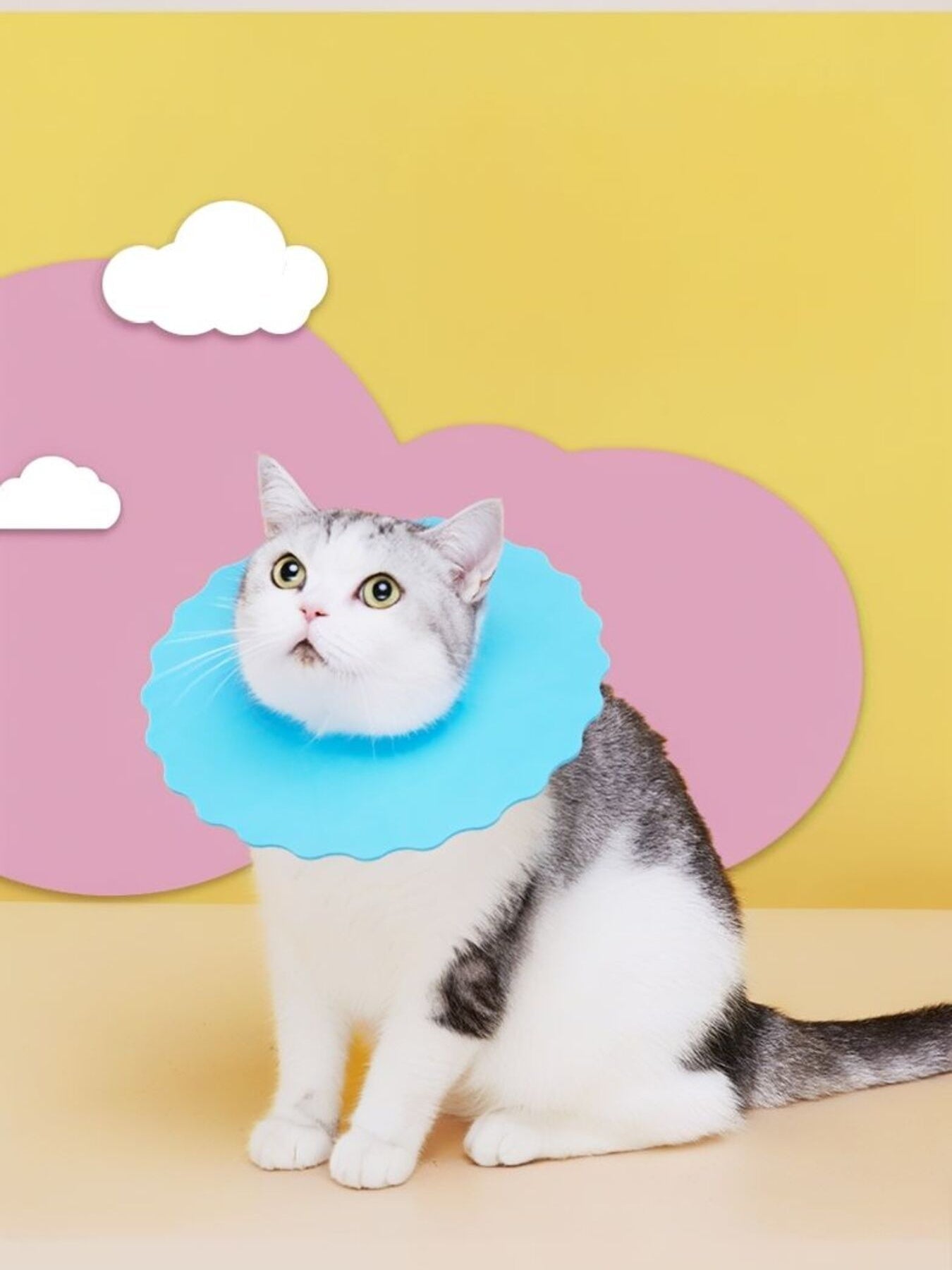 Soft Edge Pet Collar - Loving It Shop