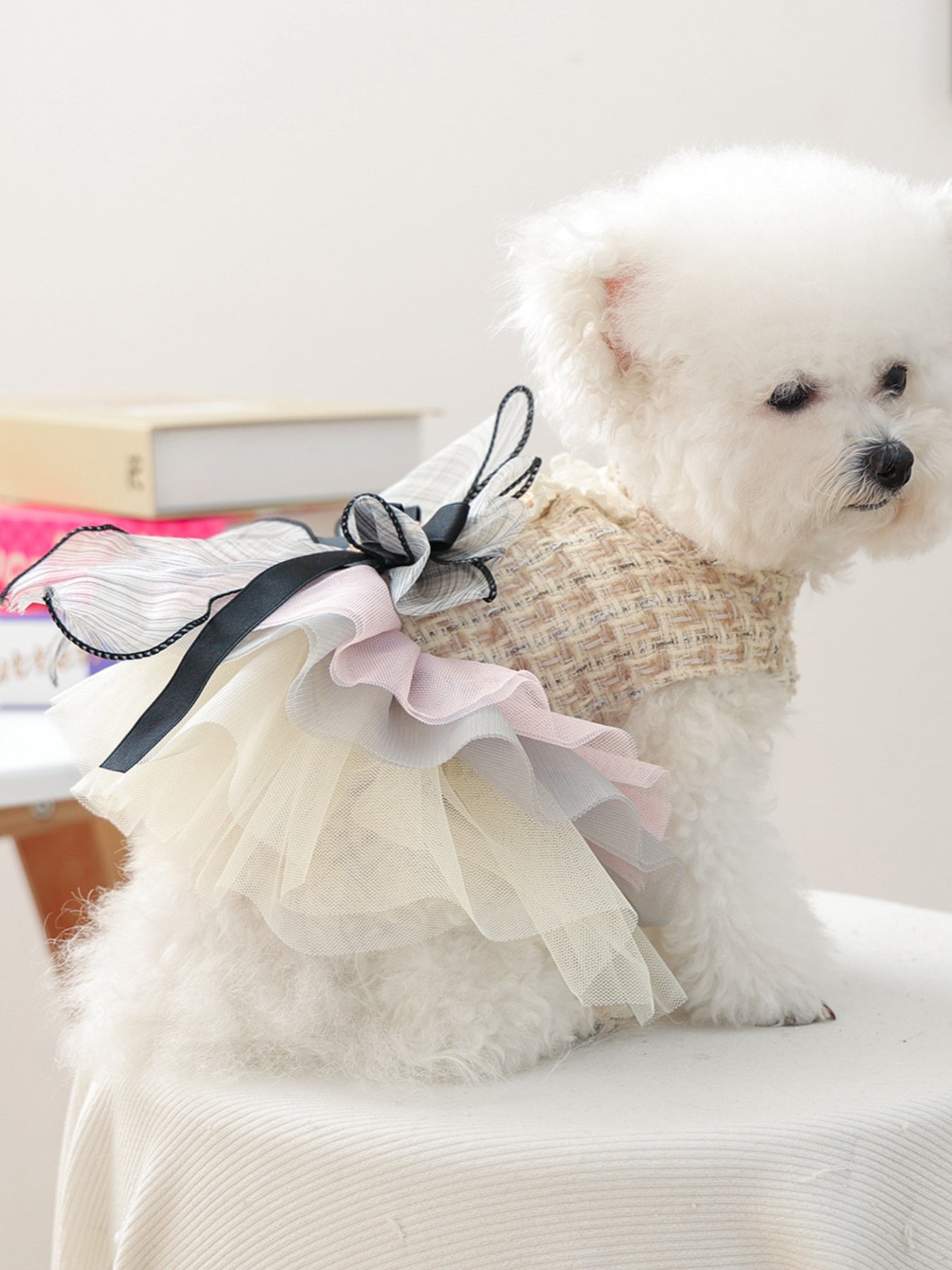 Tweed Pet Dress with Ruffle - Loving It Shop