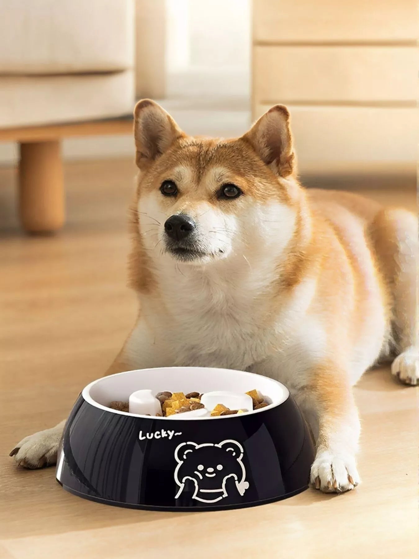 Cute Cartoon Pattern Pet Bowl - Loving It Shop