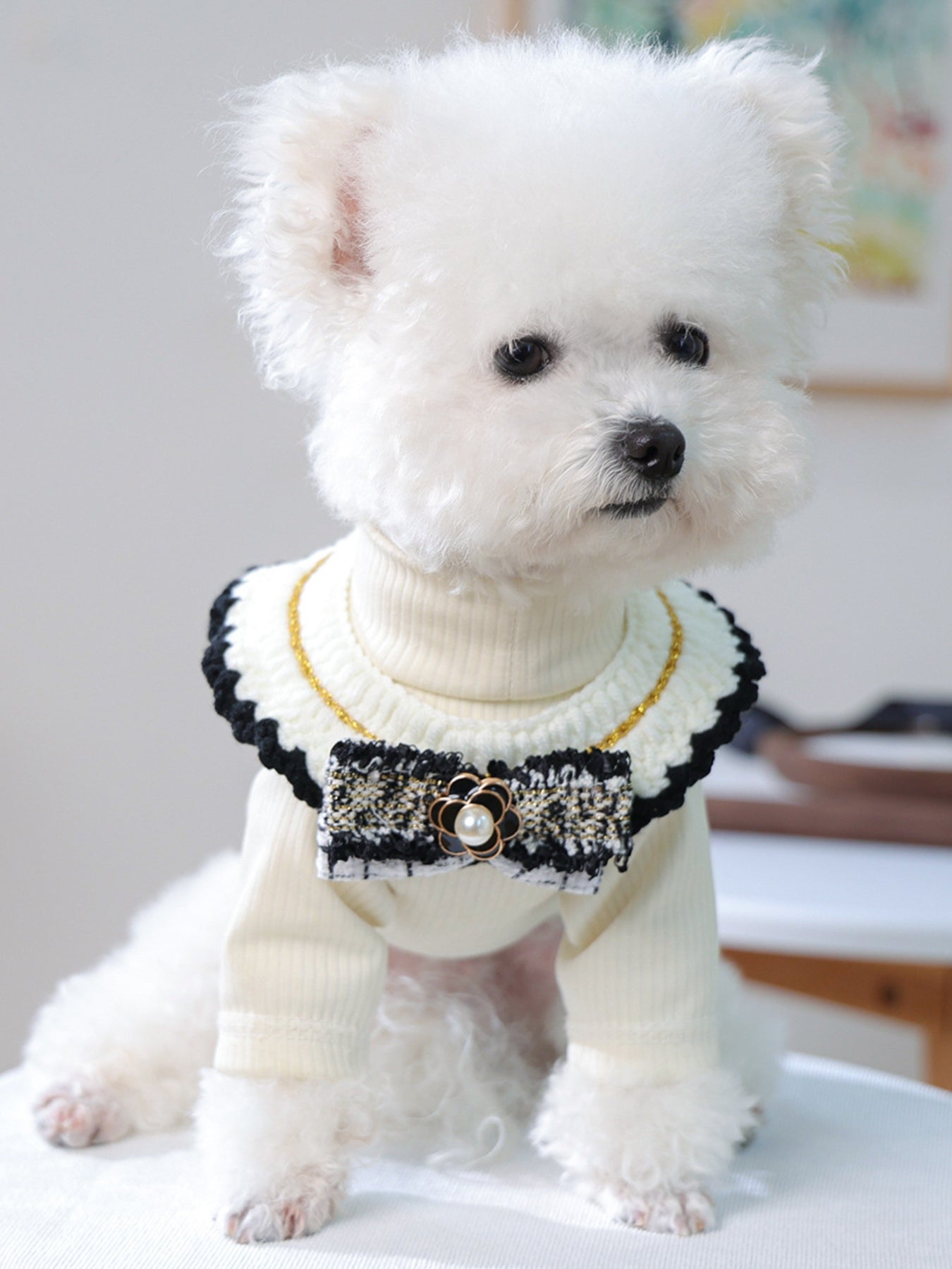 Contrast Pet Scarf - Loving It Shop