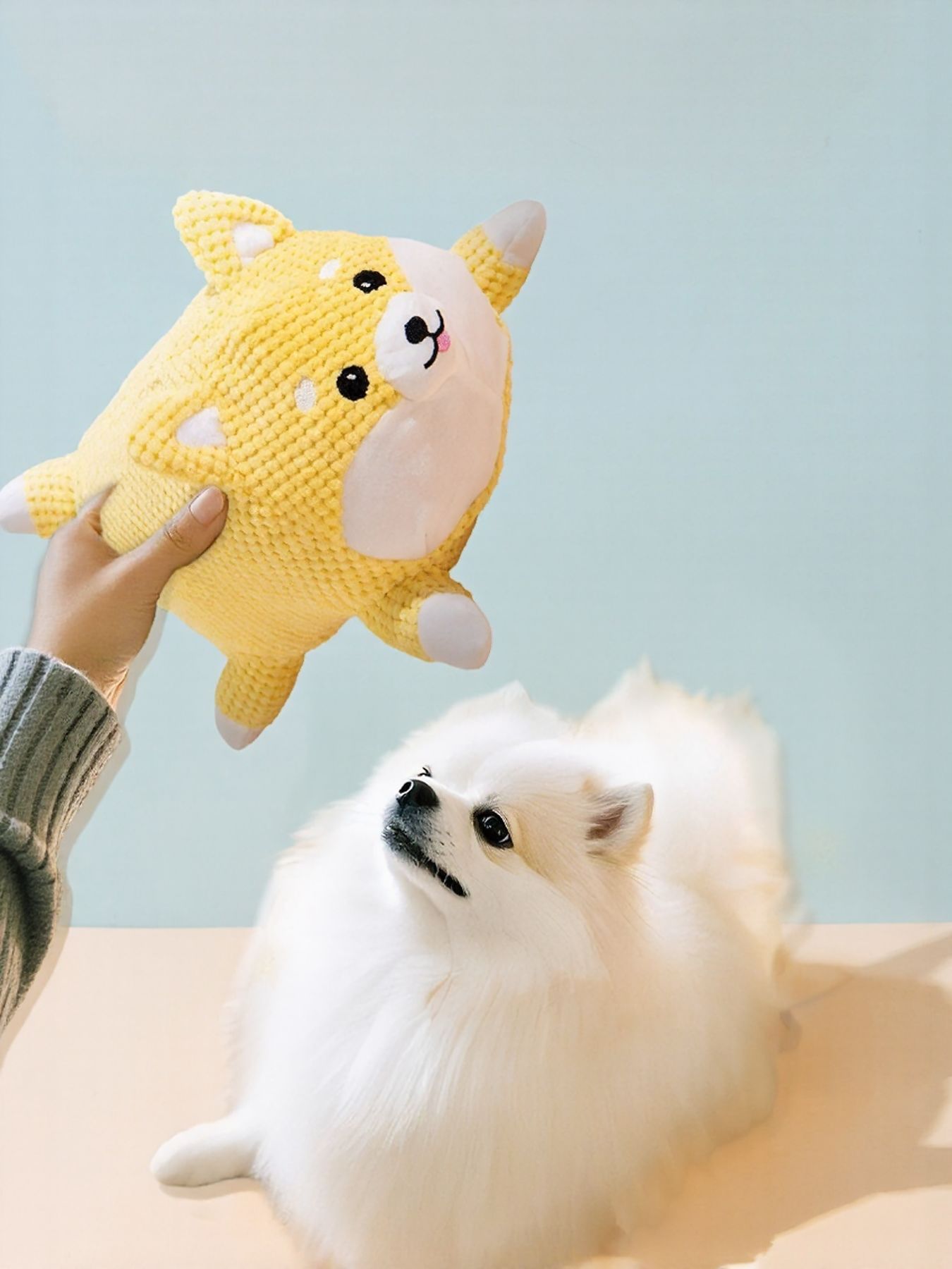 Squeaky Pet Plush Toy - Loving It Shop