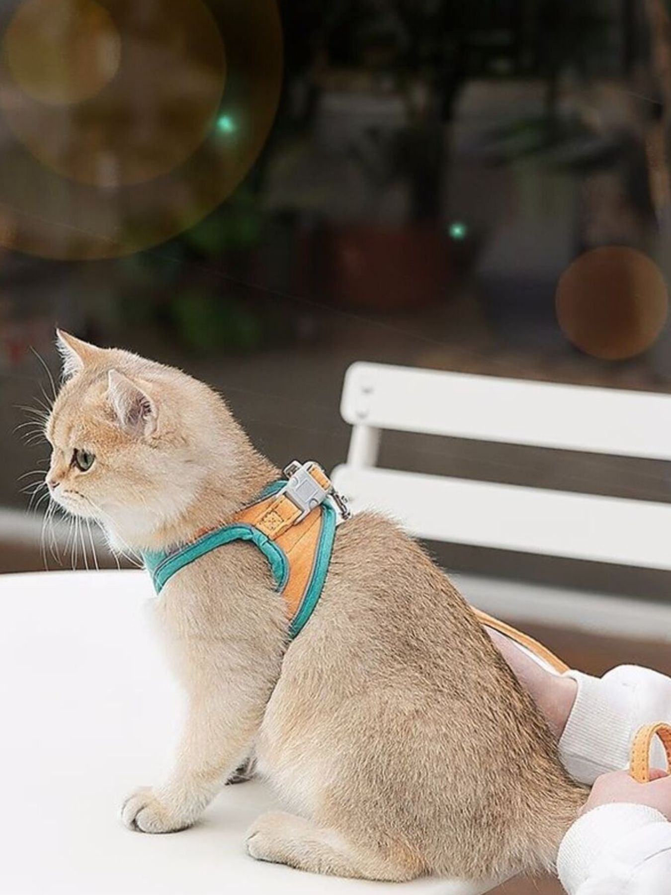 Escape - Proof Cat Harness and Leash Set - Loving It Shop