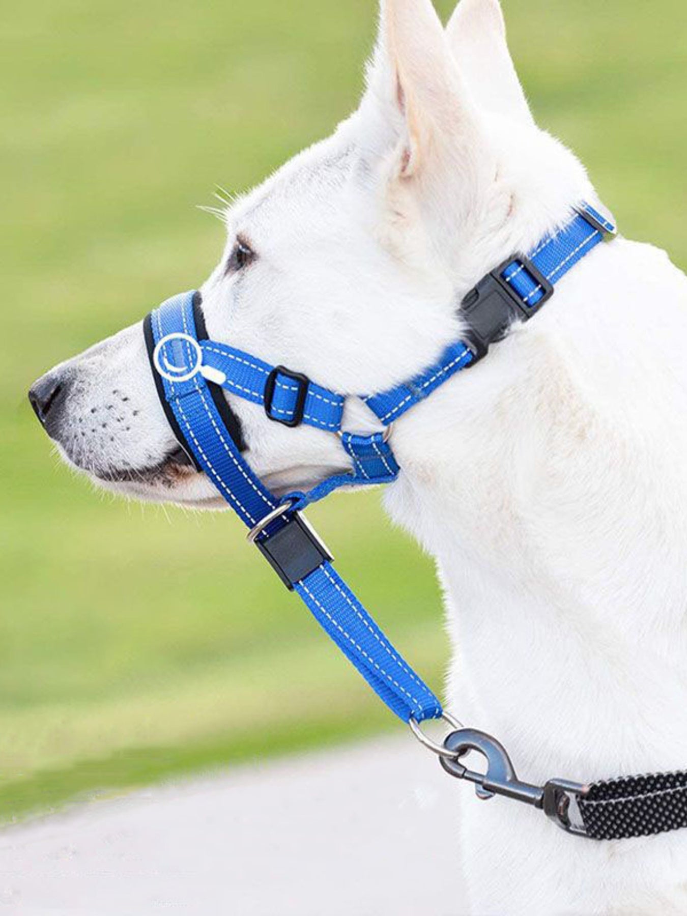 Adjustable Dog Muzzle - Loving It Shop
