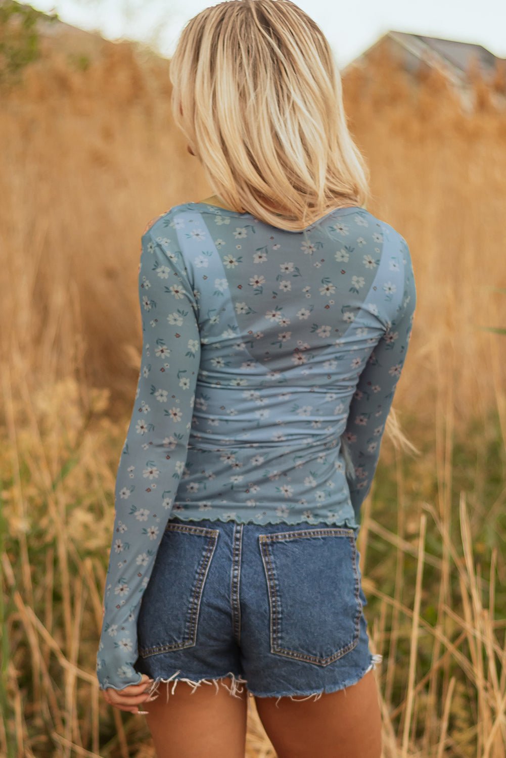 Sky Blue Vintage Floral Print Southern Style Mesh Long Sleeve Top - Loving It Shop