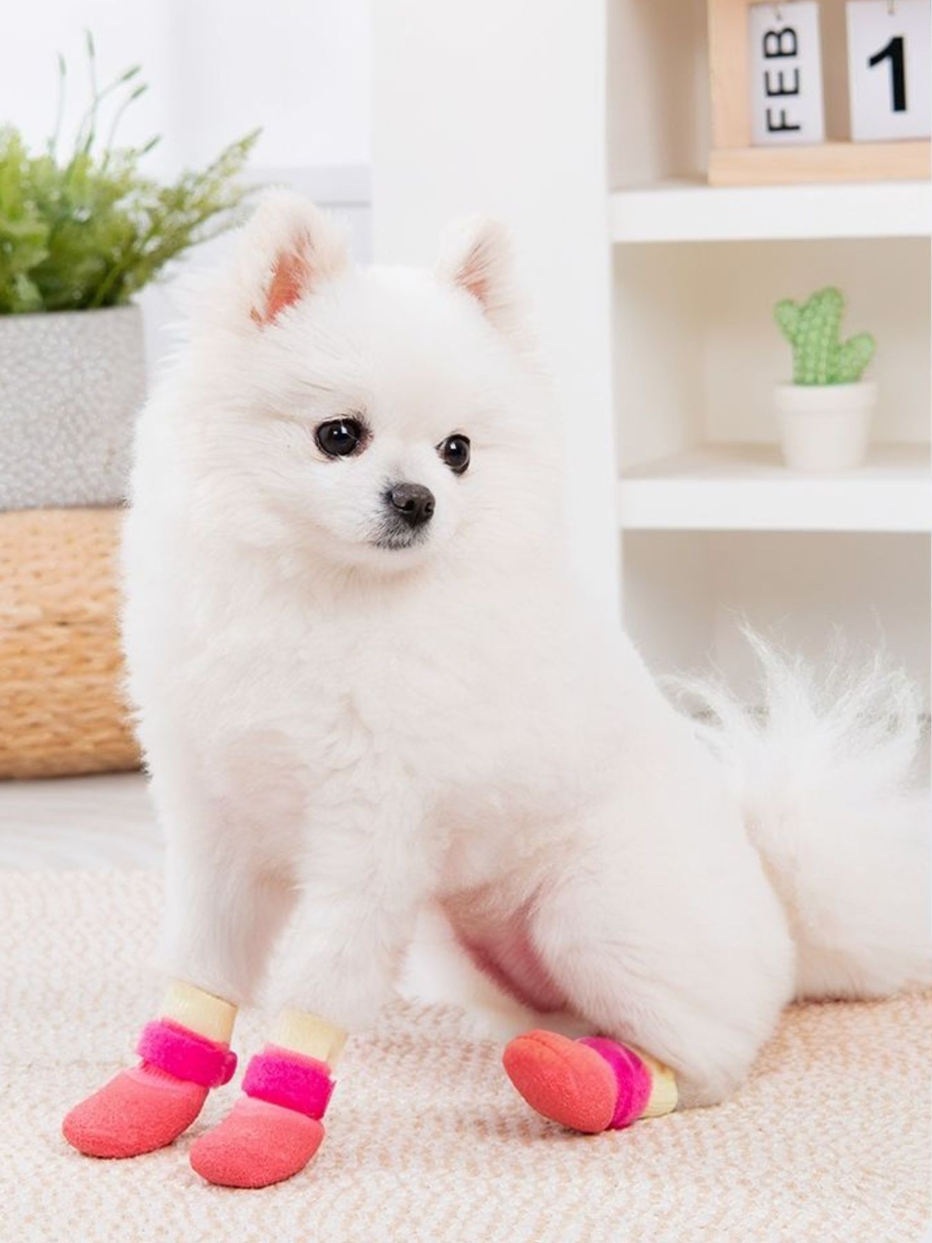 Waterproof Anti - Slip Pet Shoes - Loving It Shop