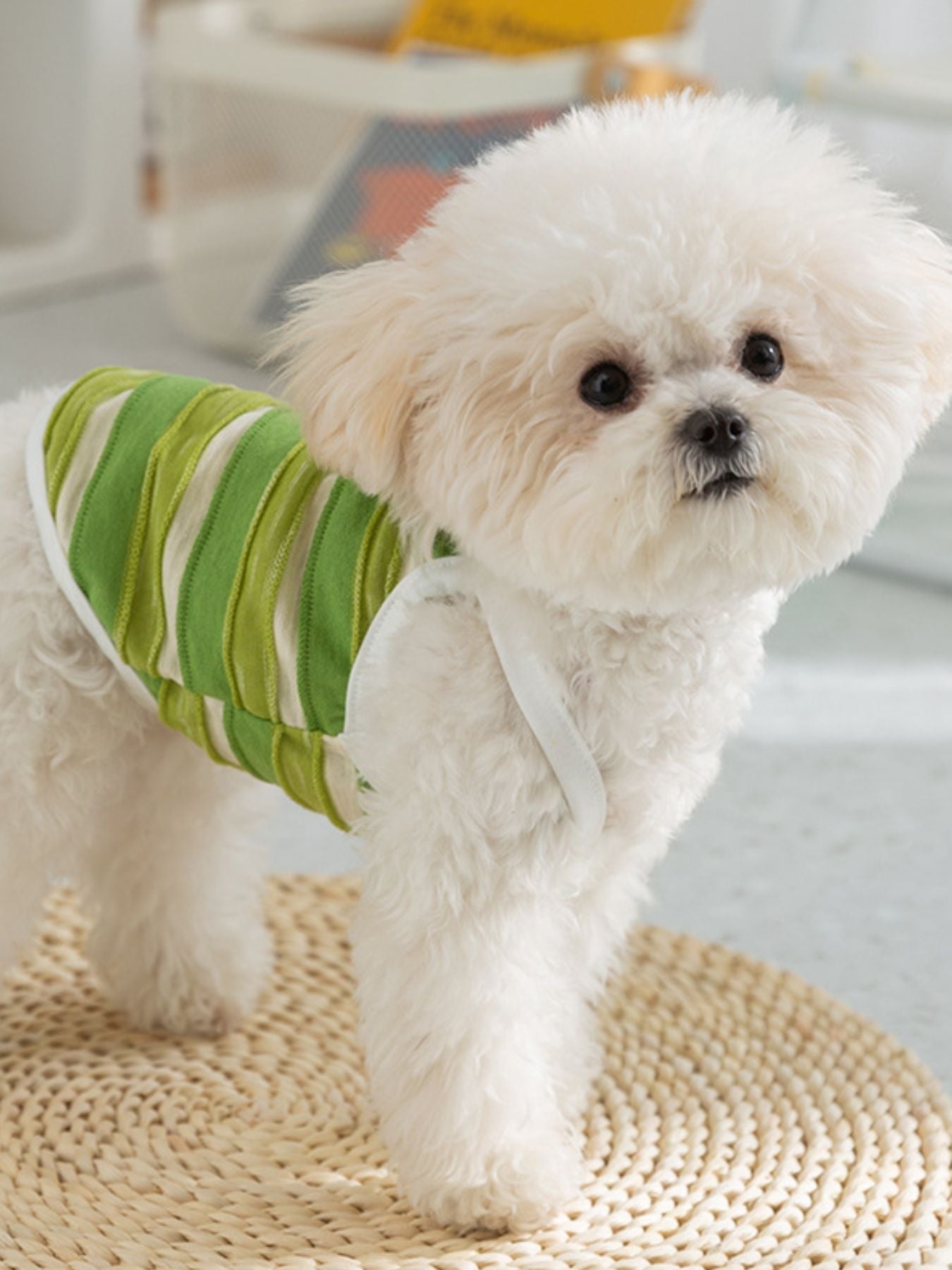 Striped Breathable Pet Top - Loving It Shop