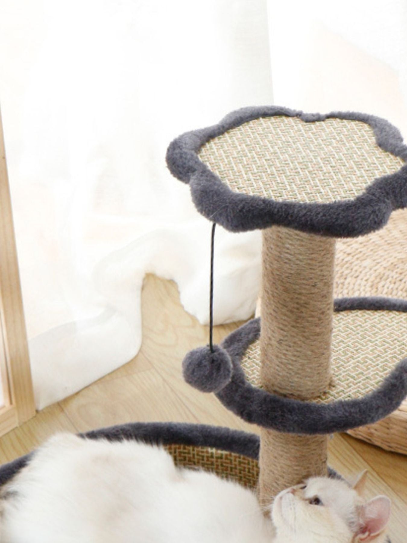 Cat Scratching Post with Cat Bed and Toy - Loving It Shop