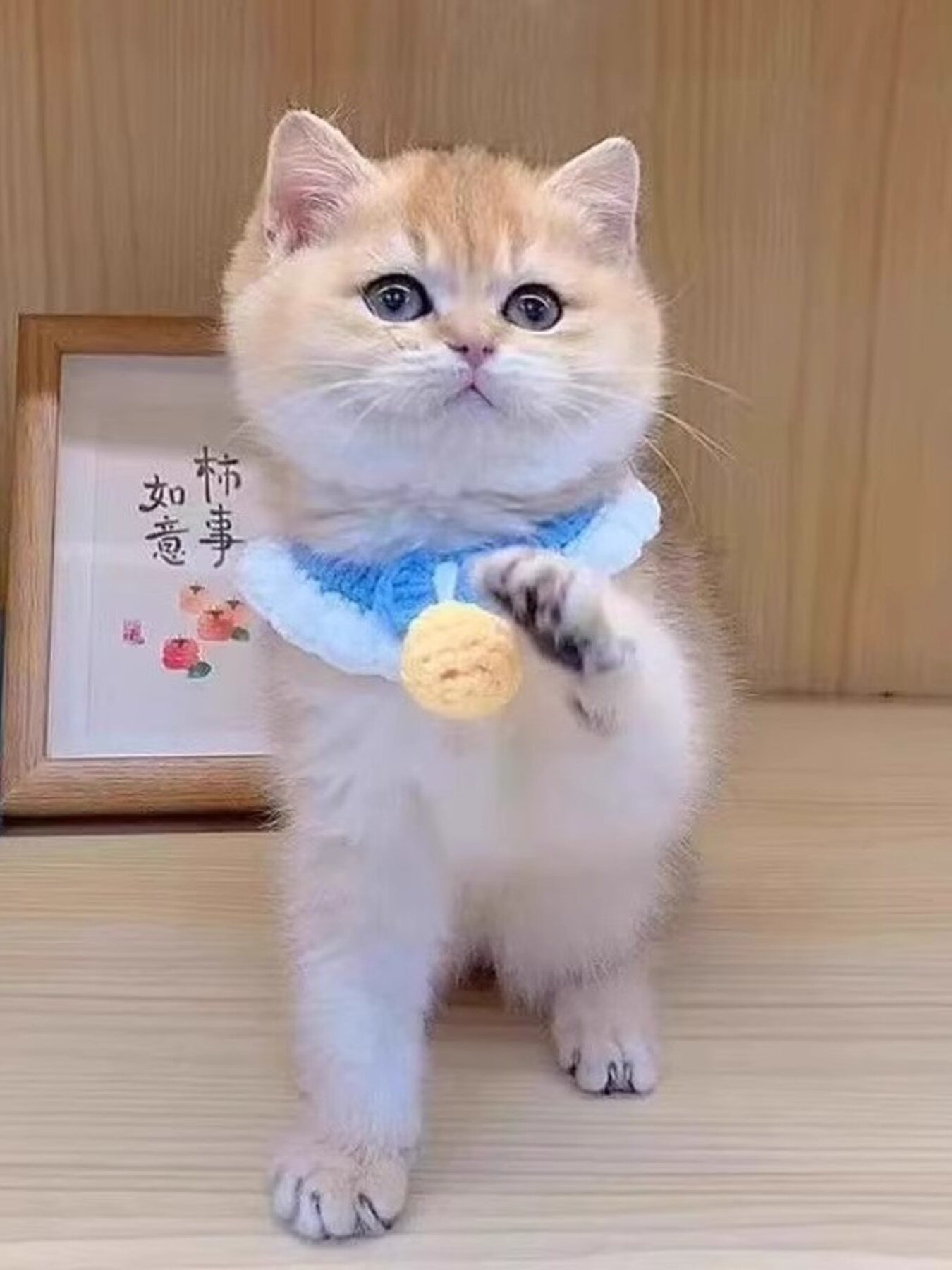 Crochet Pet Collars with Bell - Loving It Shop