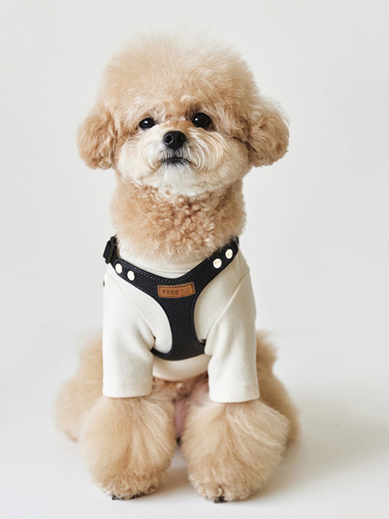 Rivet - Decorated Dog Harness Leash Set - Loving It Shop
