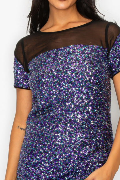 Sparkle Sequins &amp; Mesh Cap Sleeve Mini Dress