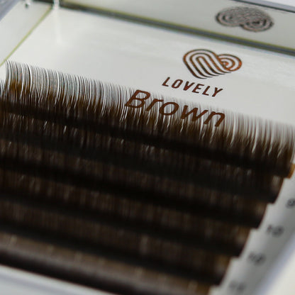 Brown Lash Extensions 20 Lines – C &amp; D Curl | Lovely US