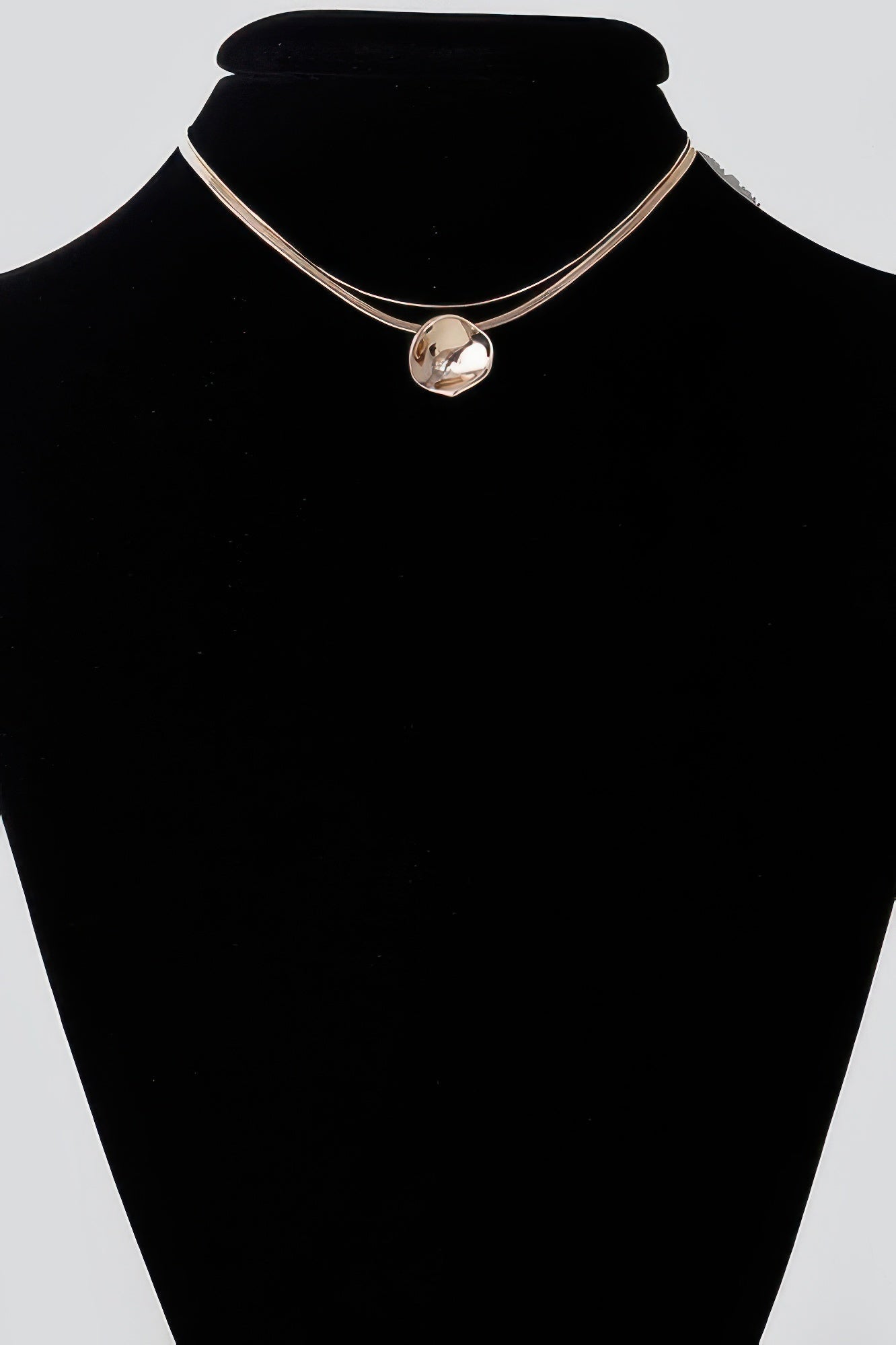 Reflection Plate Snake Chain Necklace