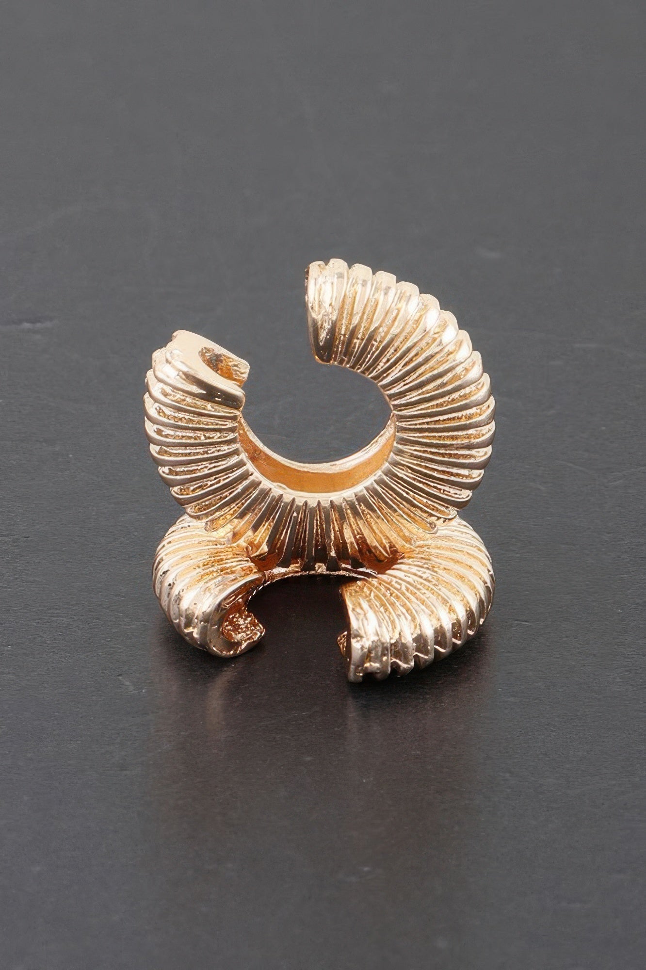 Spiral Earrings