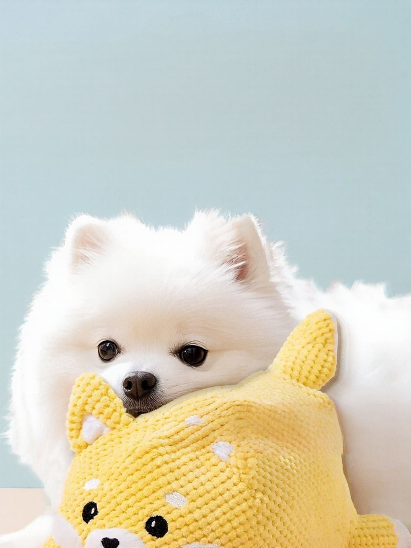 Squeaky Pet Plush Toy - Loving It Shop