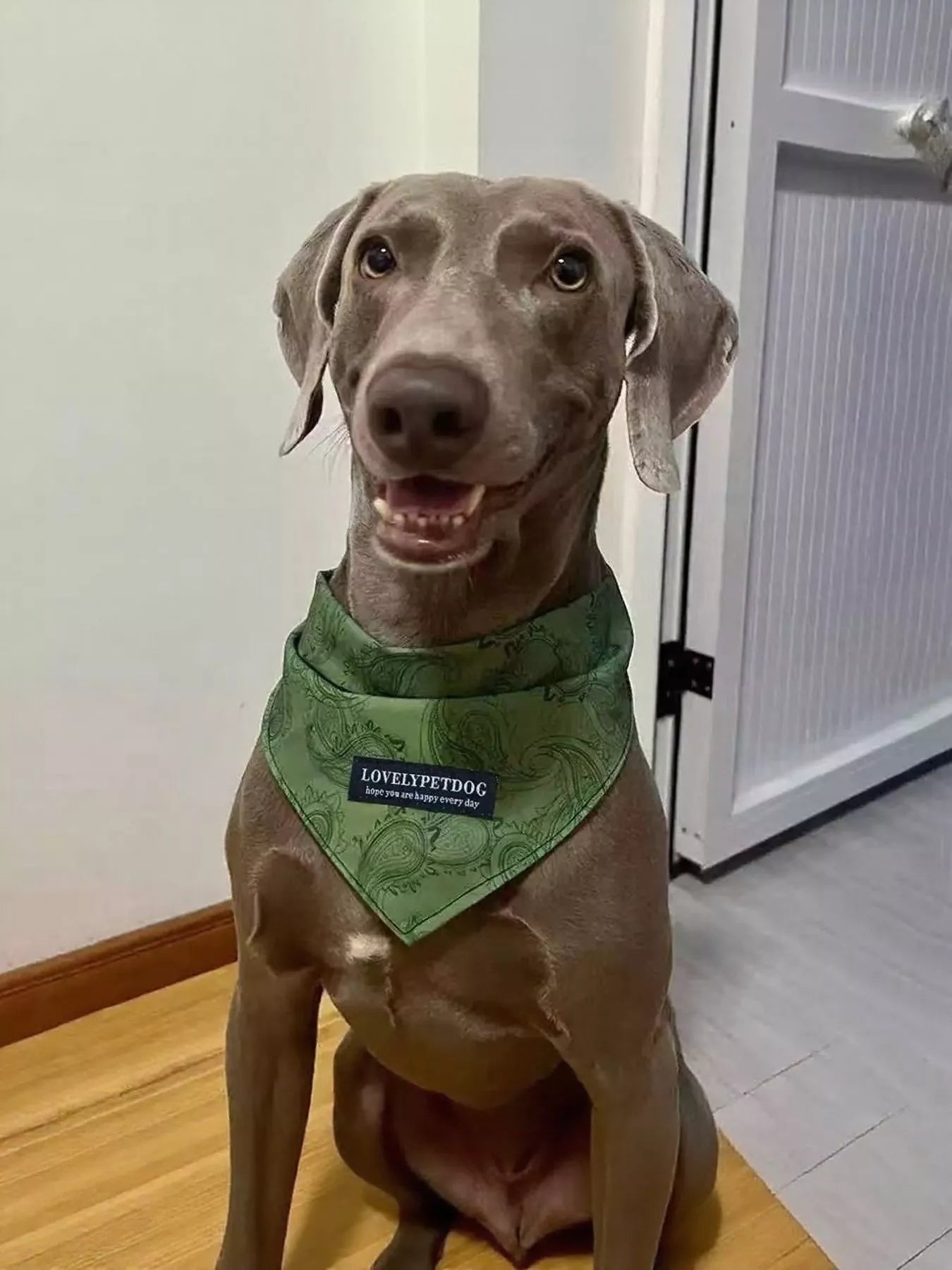 Lightweight Pet Scarf - Loving It Shop