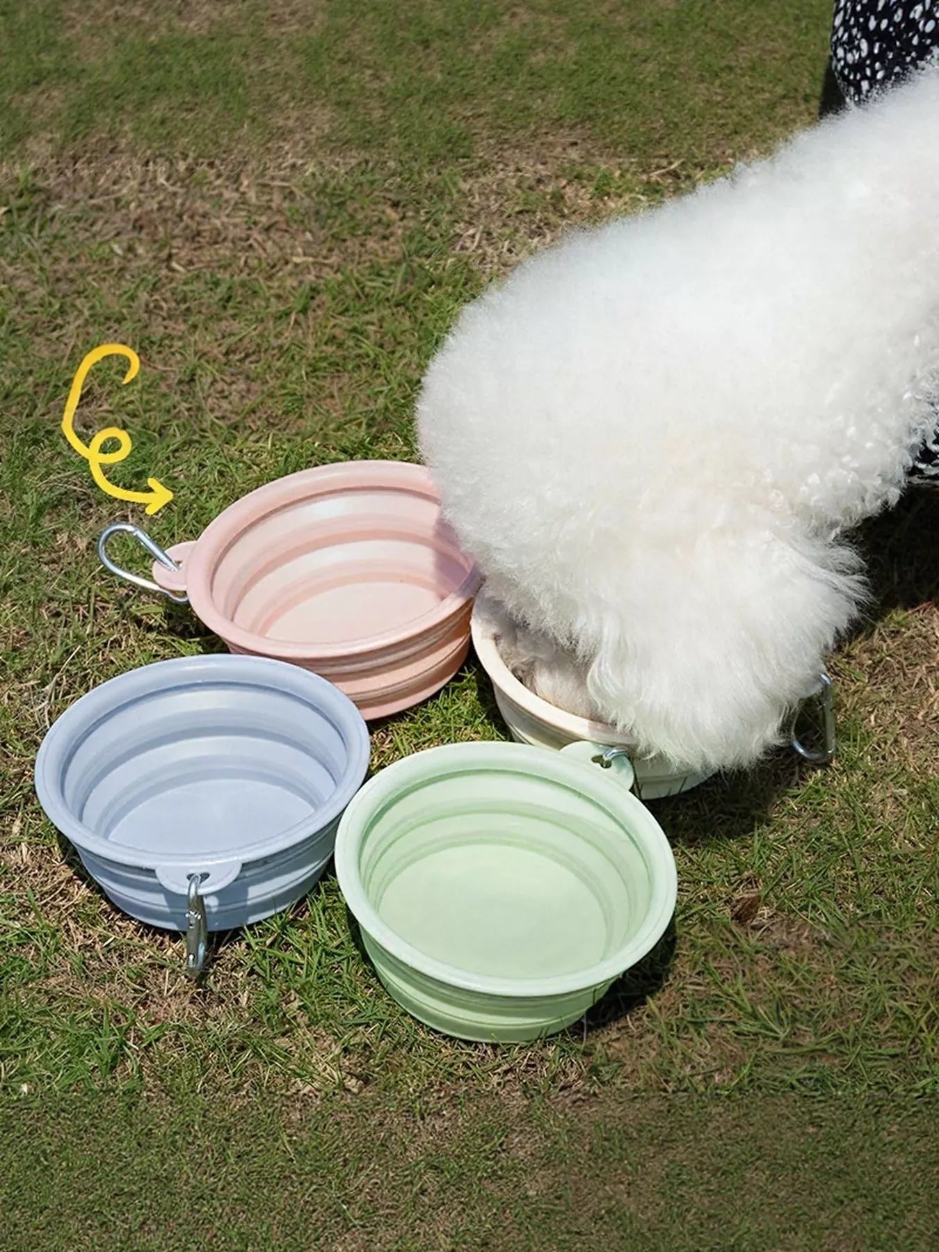 Portable Collapsible Pet Bowls - Loving It Shop