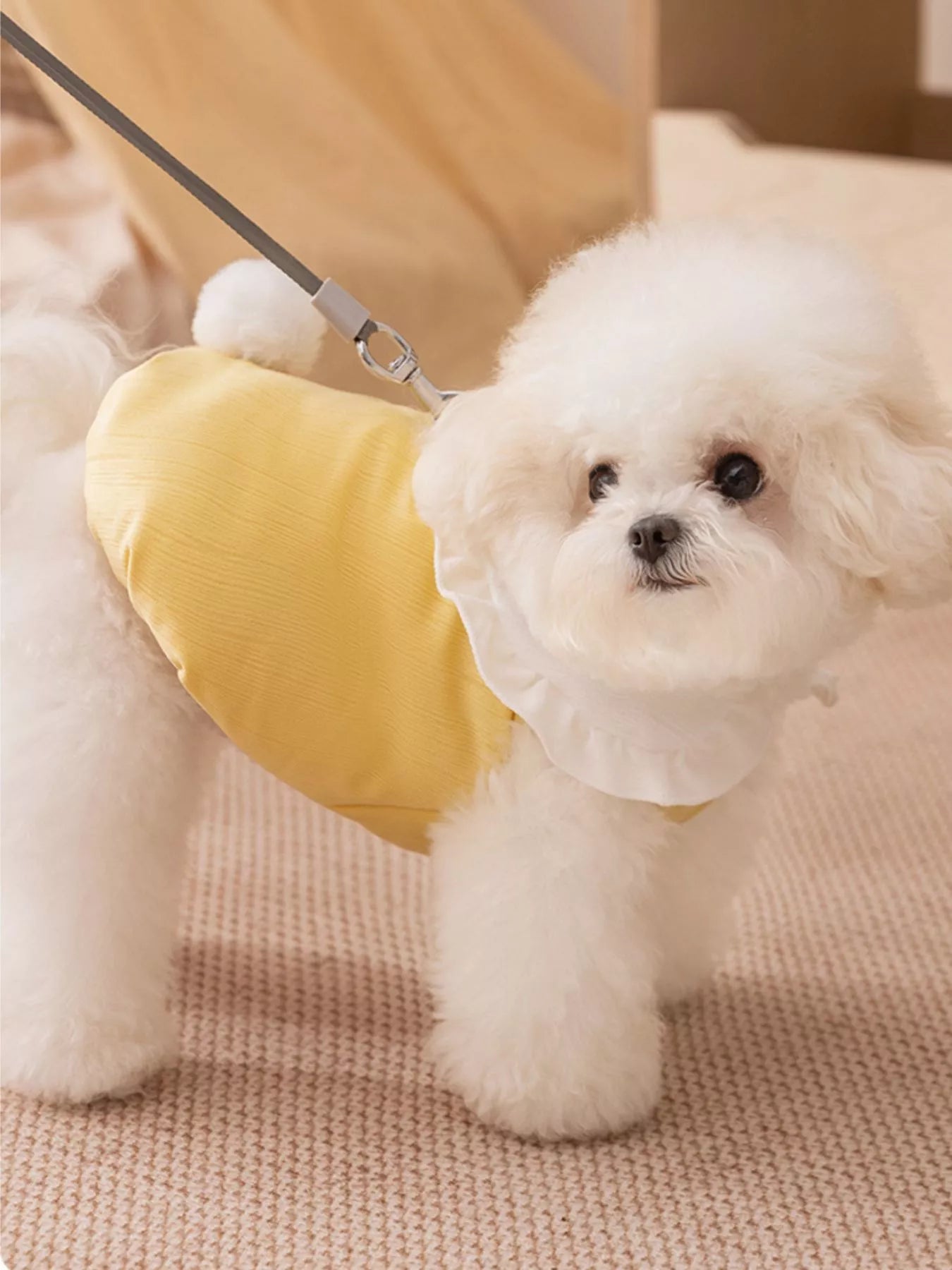 Button - Down Pet Jumpsuit with Ruffle Collar - Loving It Shop
