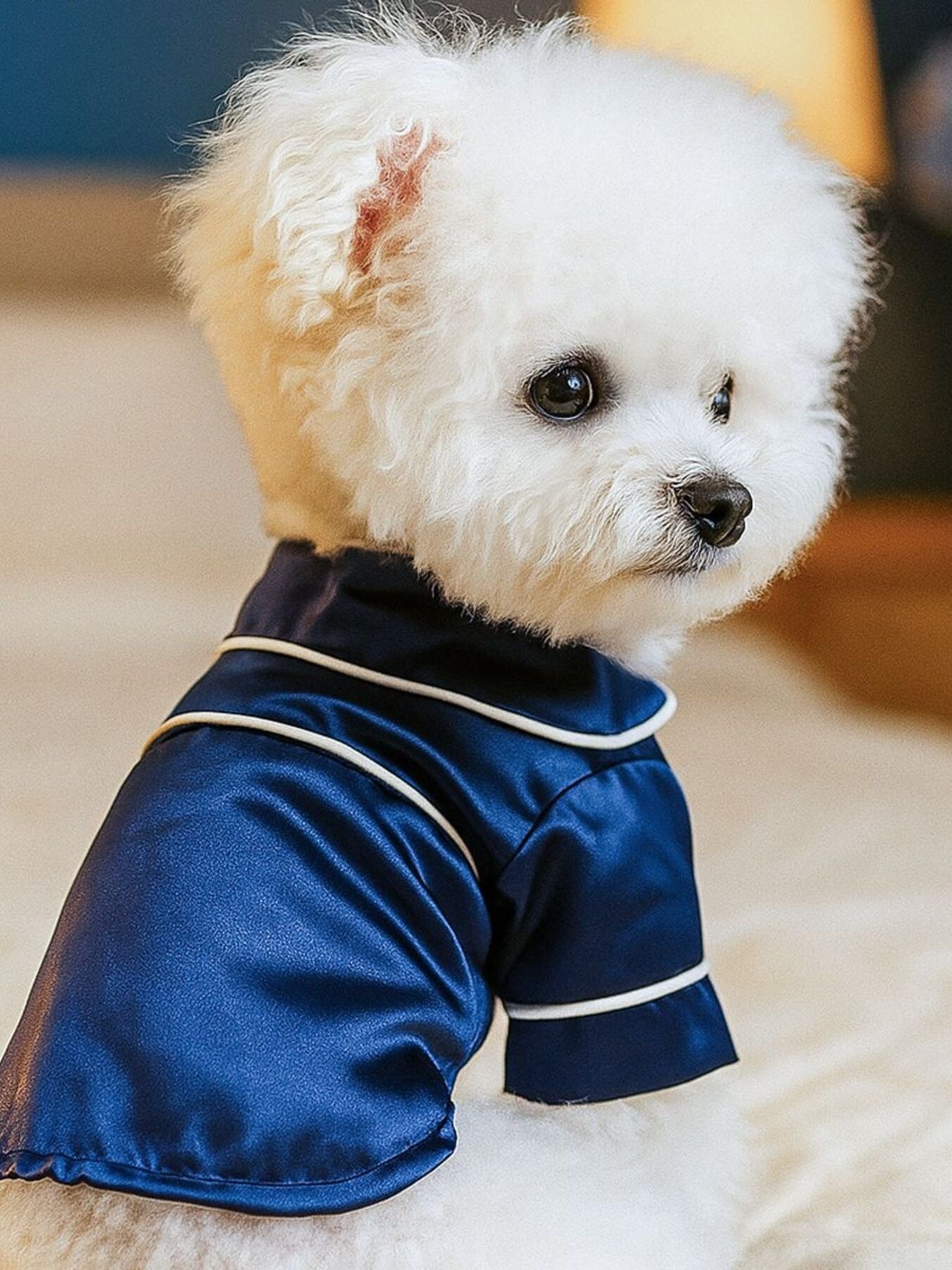 Satin Pet Pajamas with Contrast Piping - Loving It Shop
