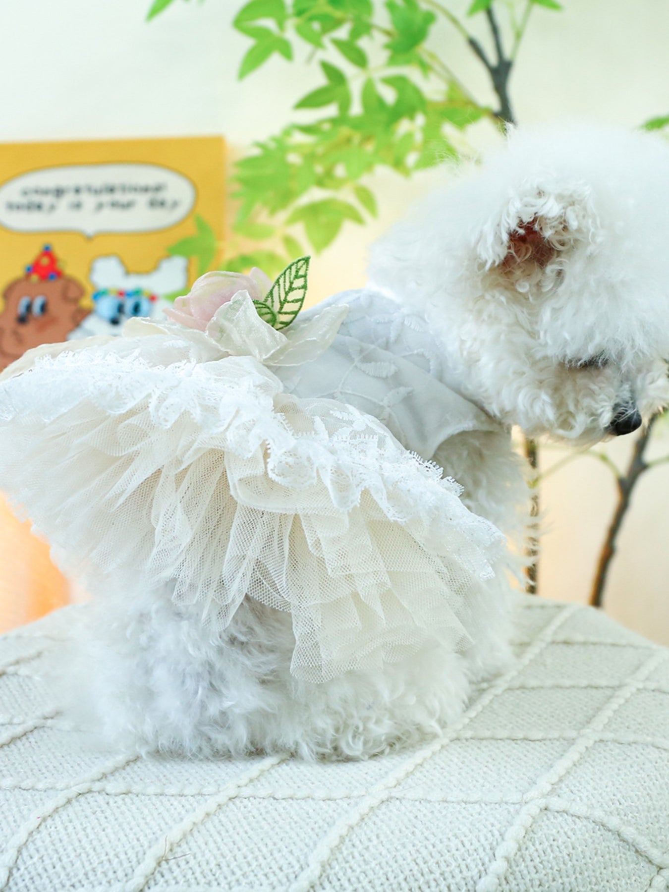 Ruffled Lace Pet Dress - Loving It Shop