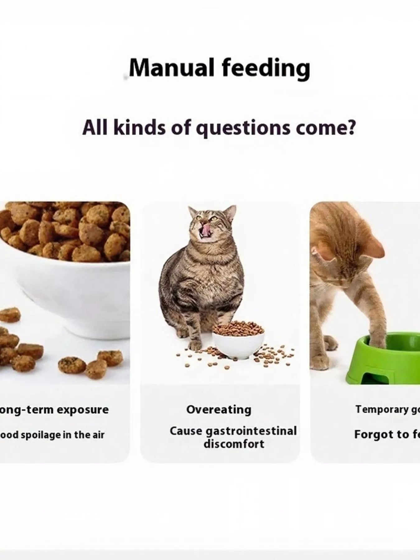 Automatic Pet Feeder with Elevated Bowl - Loving It Shop