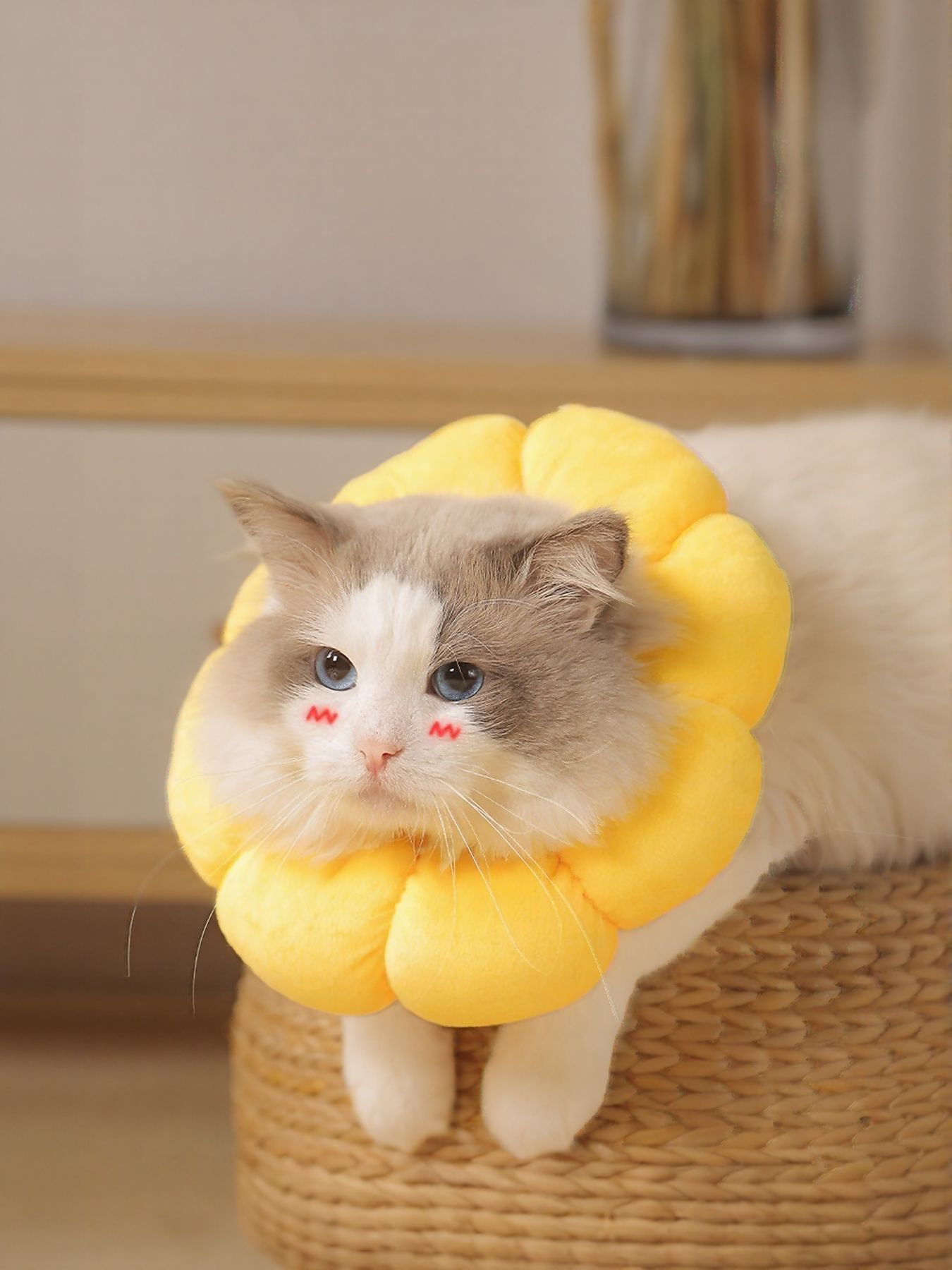 Sunflower Protective Pet Collar - Loving It Shop