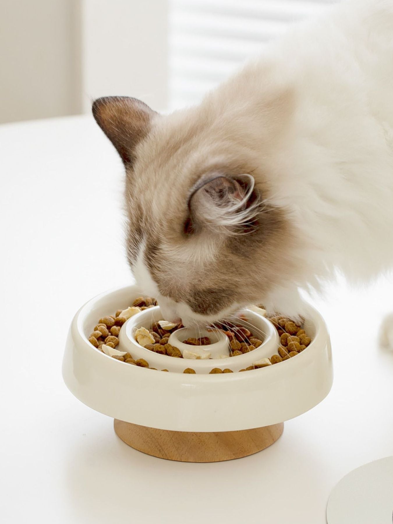 Interactive Slow Feeder Pet Bowl - Loving It Shop