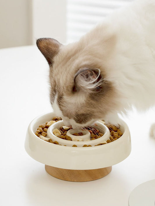 Interactive Slow Feeder Pet Bowl - Loving It Shop