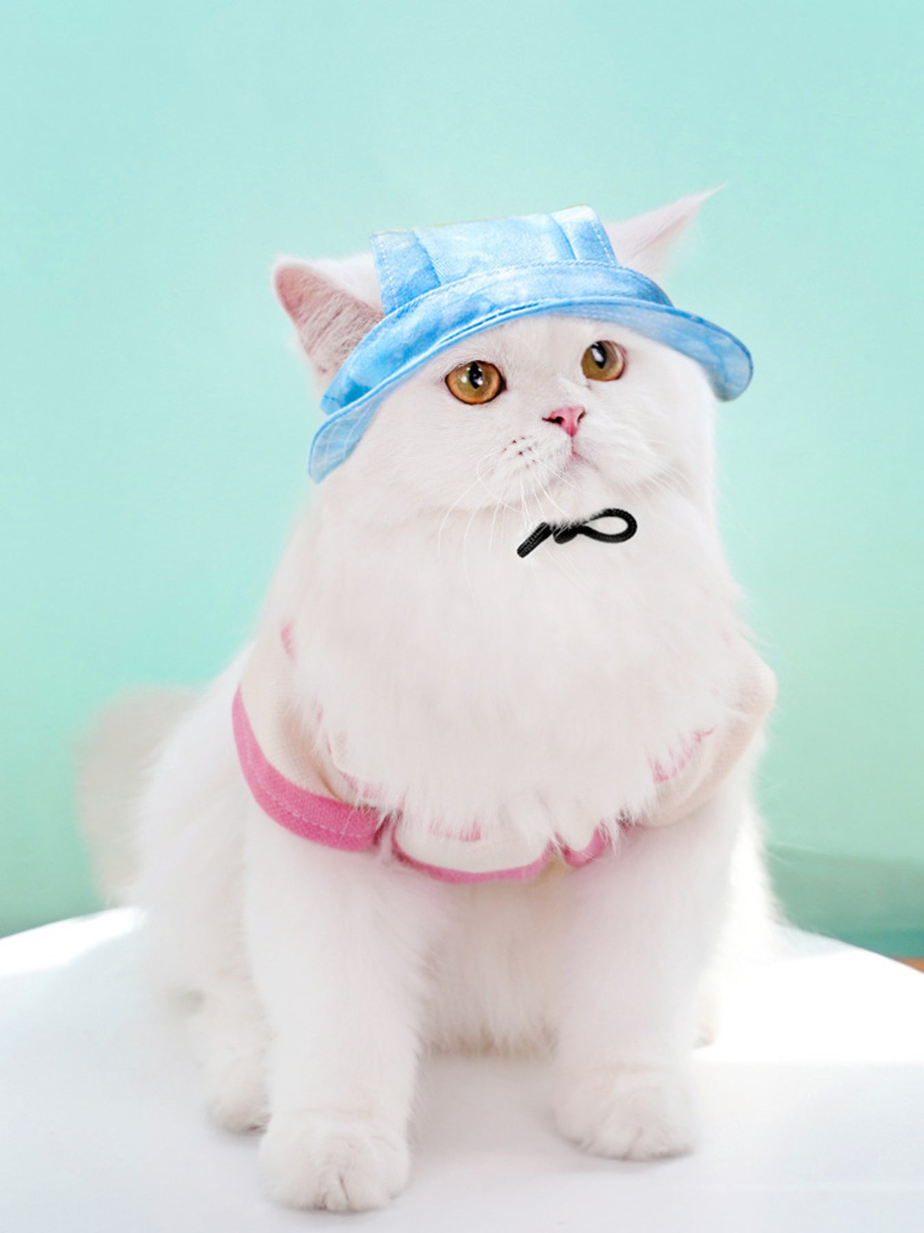 Adjustable Pet Visor Hat - Loving It Shop