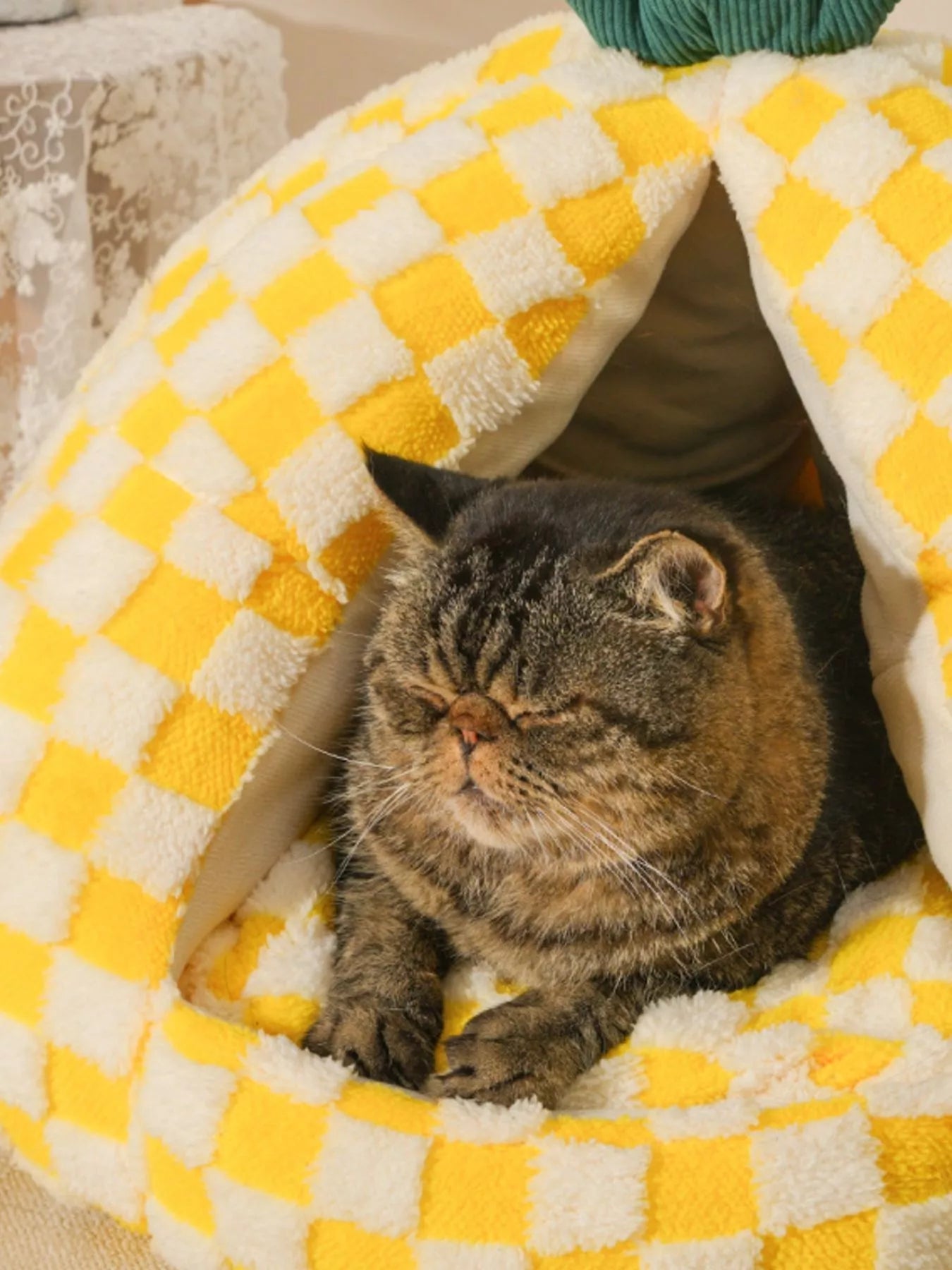 Pineapple Shaped Cozy Pet Nest - Loving It Shop