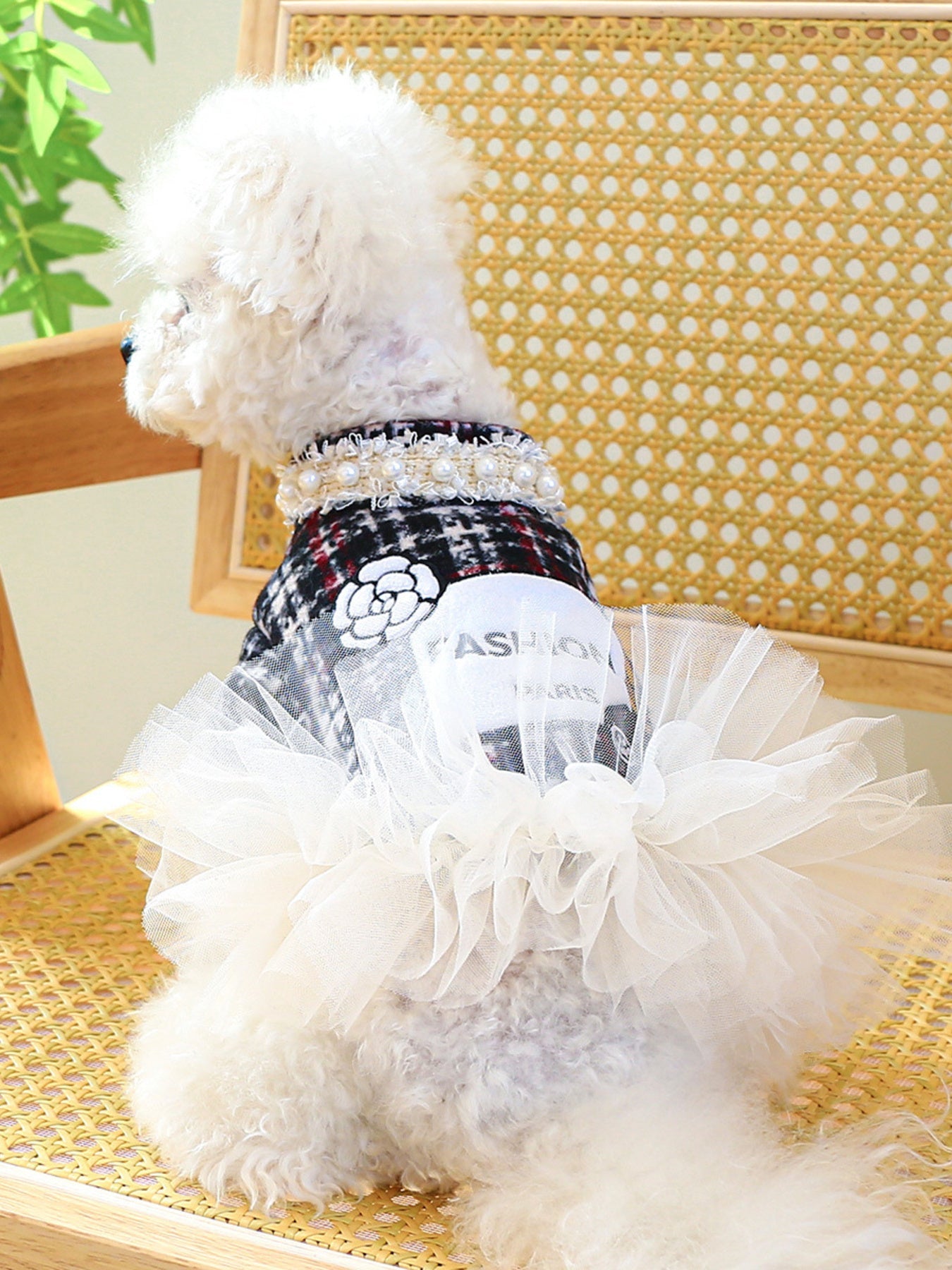 Pearl Collar Pet Dress - Loving It Shop