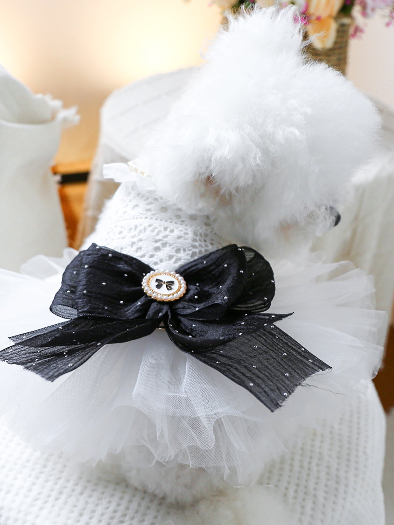 Ruffled Lace Pet Dress - Loving It Shop