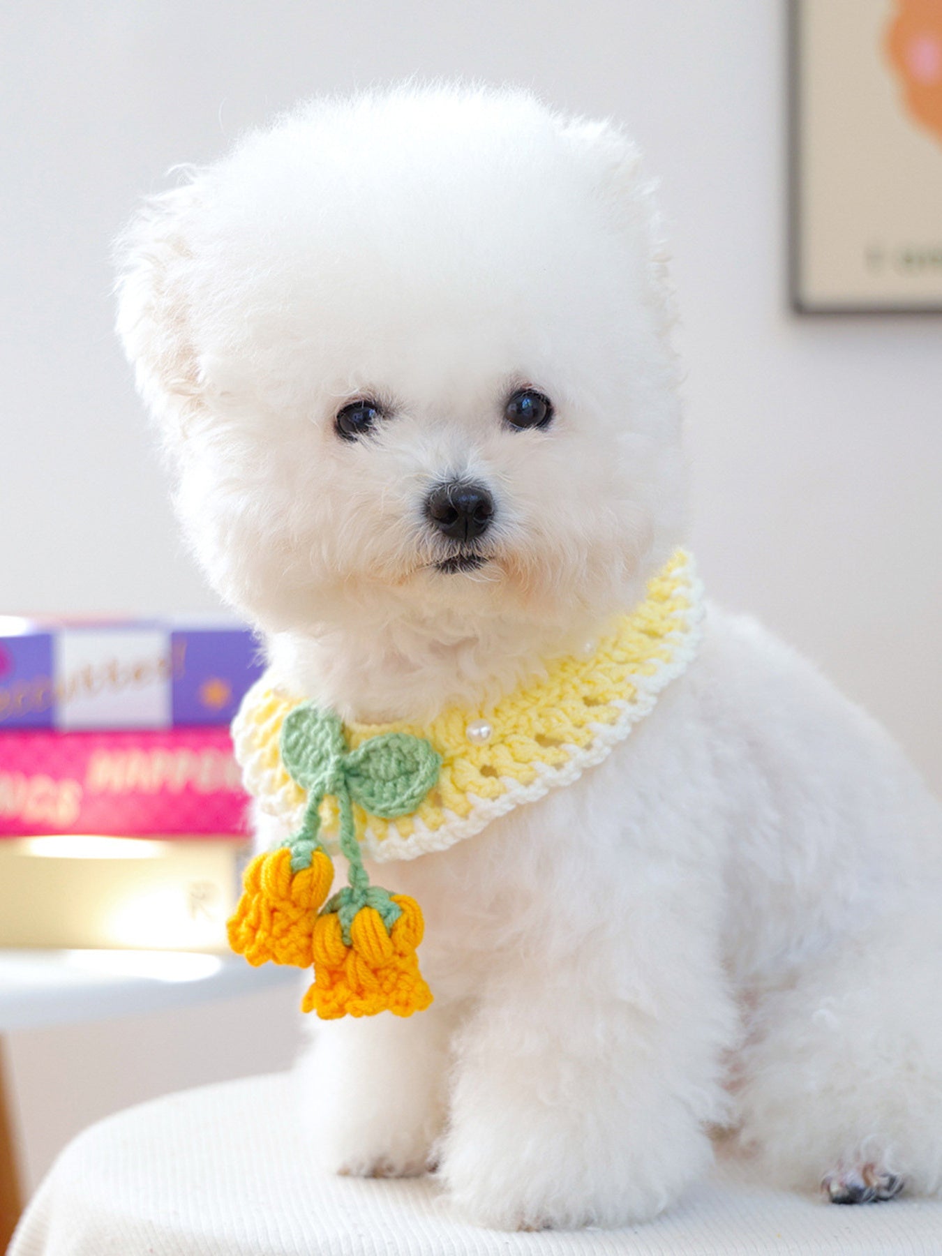 Contrast Pet Scarf - Loving It Shop