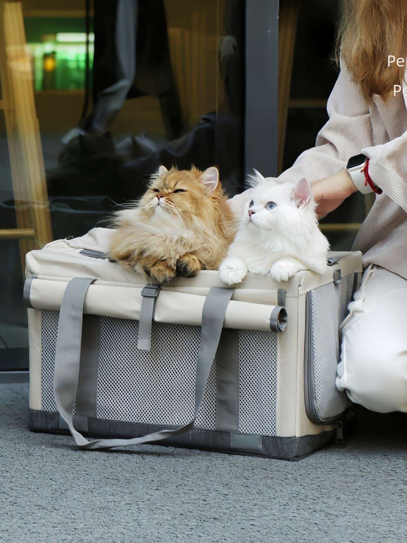 Portable Breathable Pet Carrier Bag - Loving It Shop