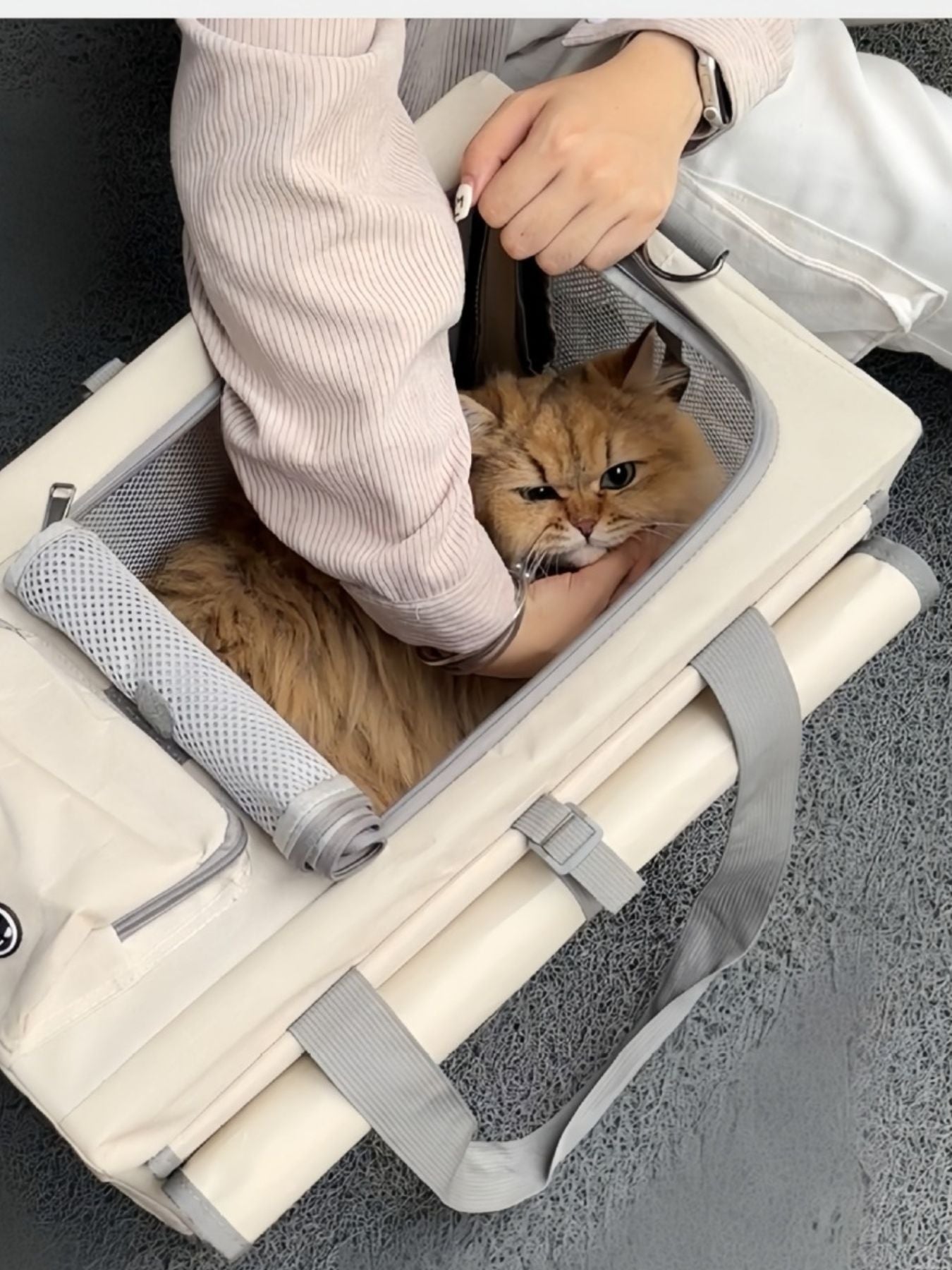Portable Breathable Pet Carrier Bag - Loving It Shop