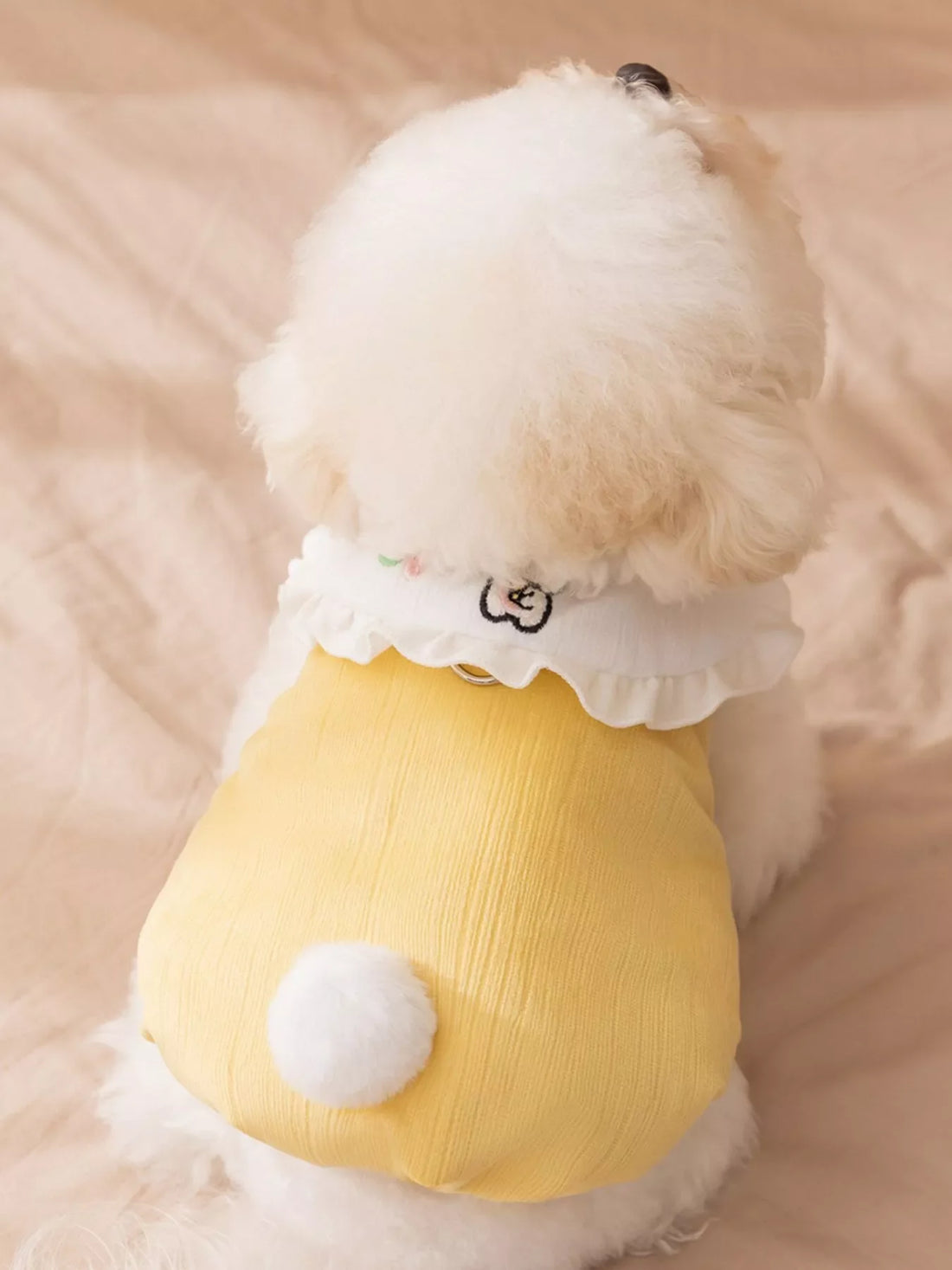 Button - Down Pet Jumpsuit with Ruffle Collar - Loving It Shop