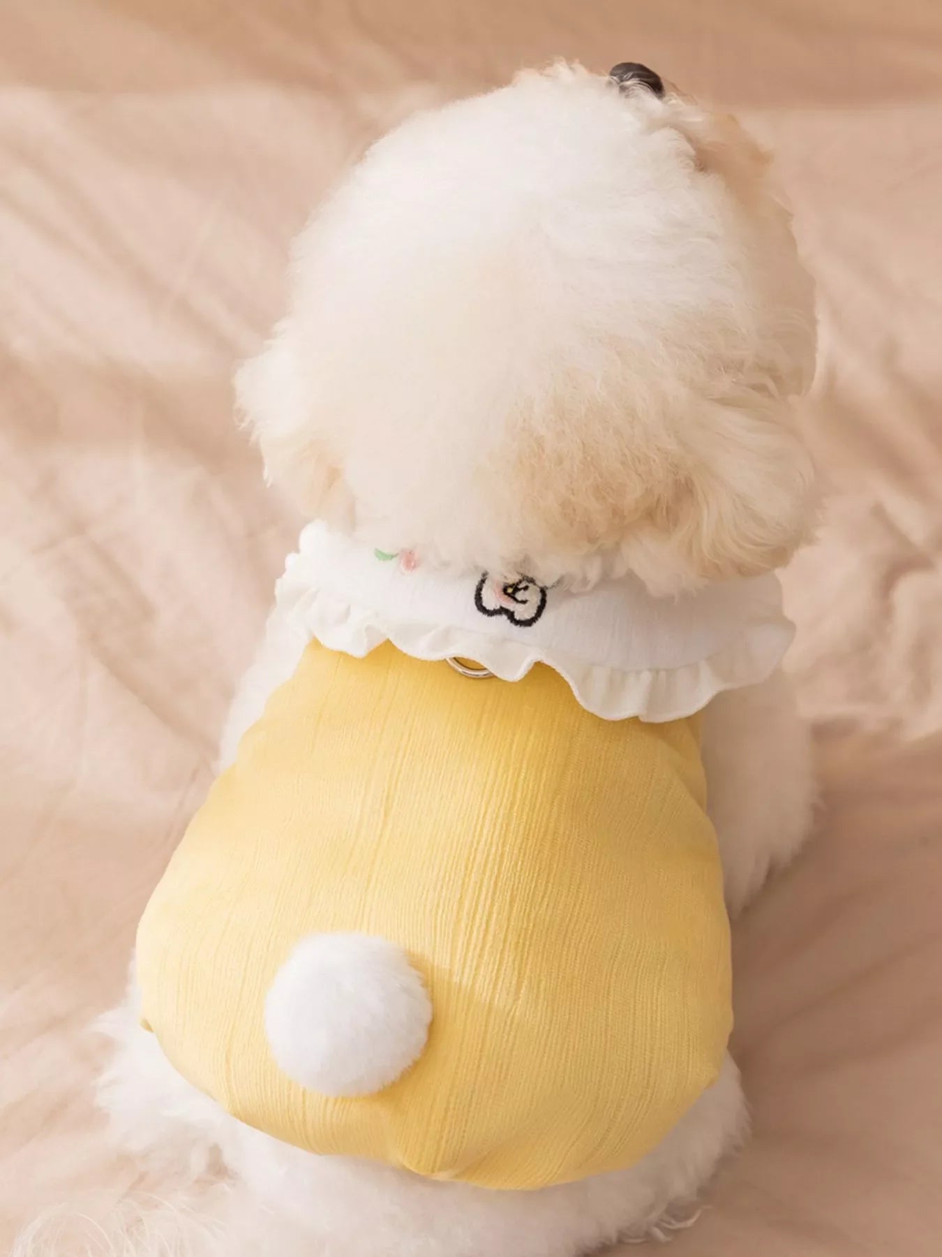 Button - Down Pet Jumpsuit with Ruffle Collar - Loving It Shop