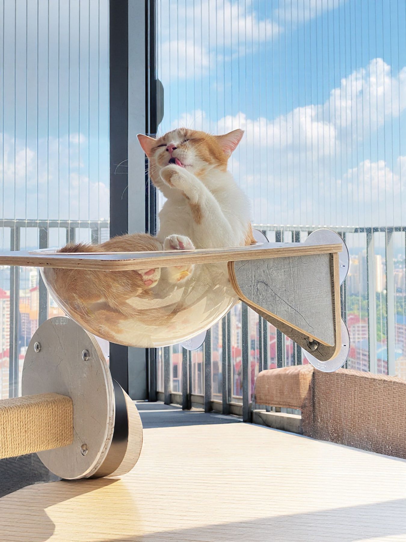 Window Mounted Cat Condos - Loving It Shop