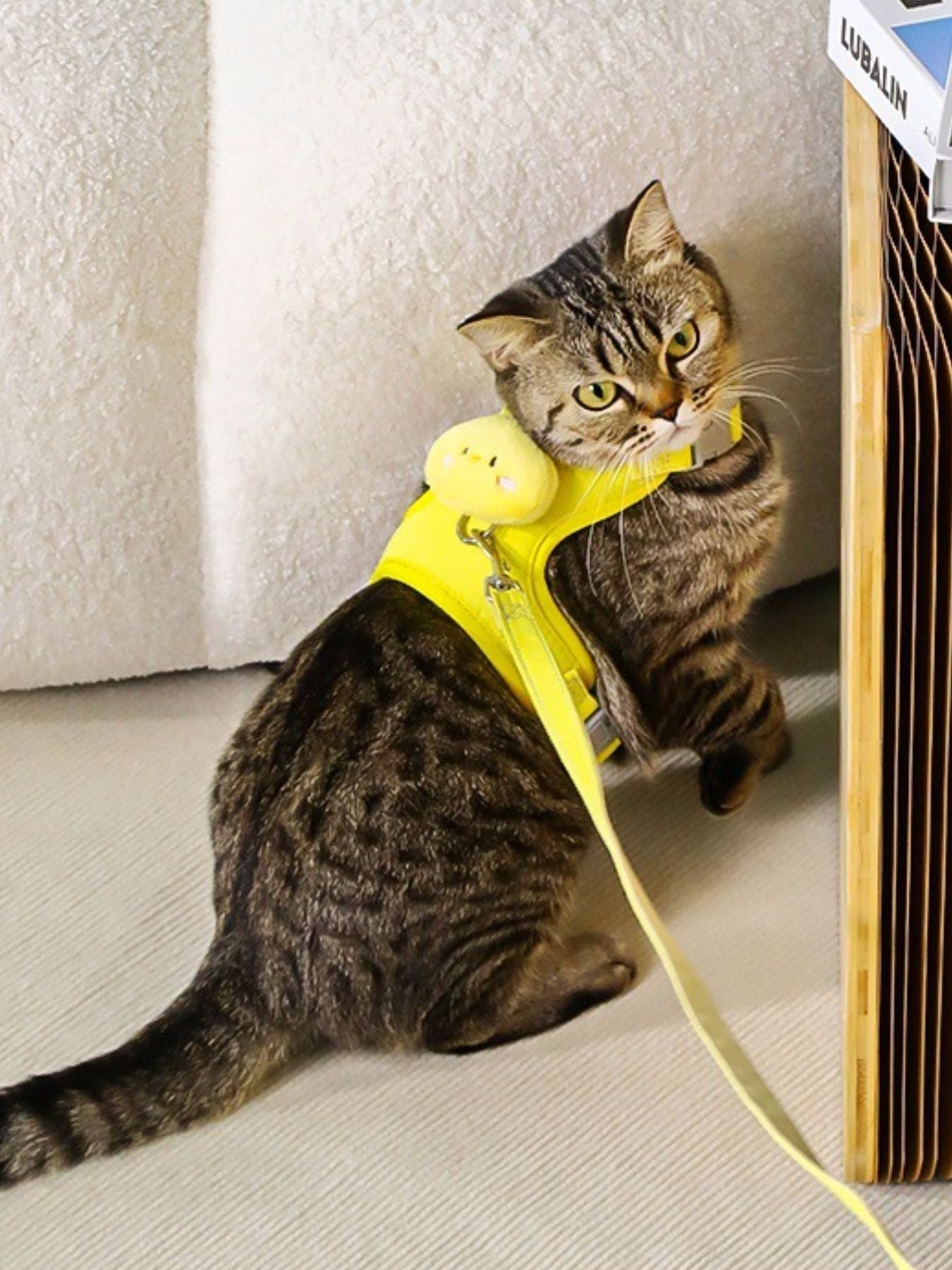 Animal Decor Breathable Mesh Pet Harness - Loving It Shop