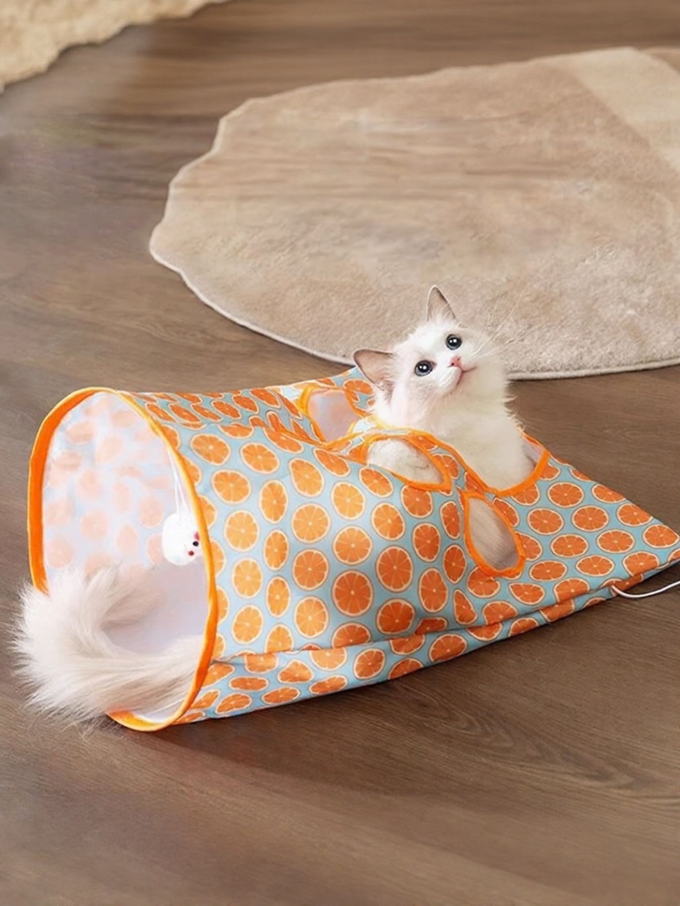 Collapsible Printed Cat Tunnel Toy - Loving It Shop
