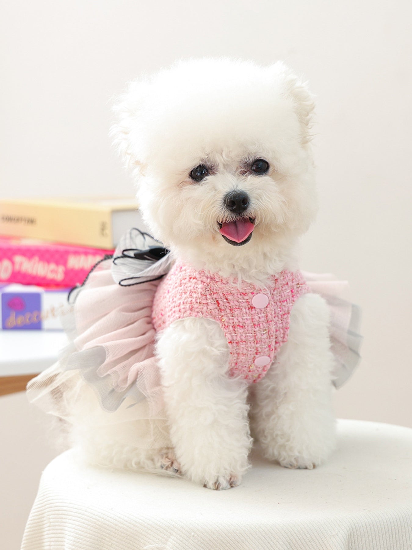 Tweed Pet Dress with Ruffle - Loving It Shop