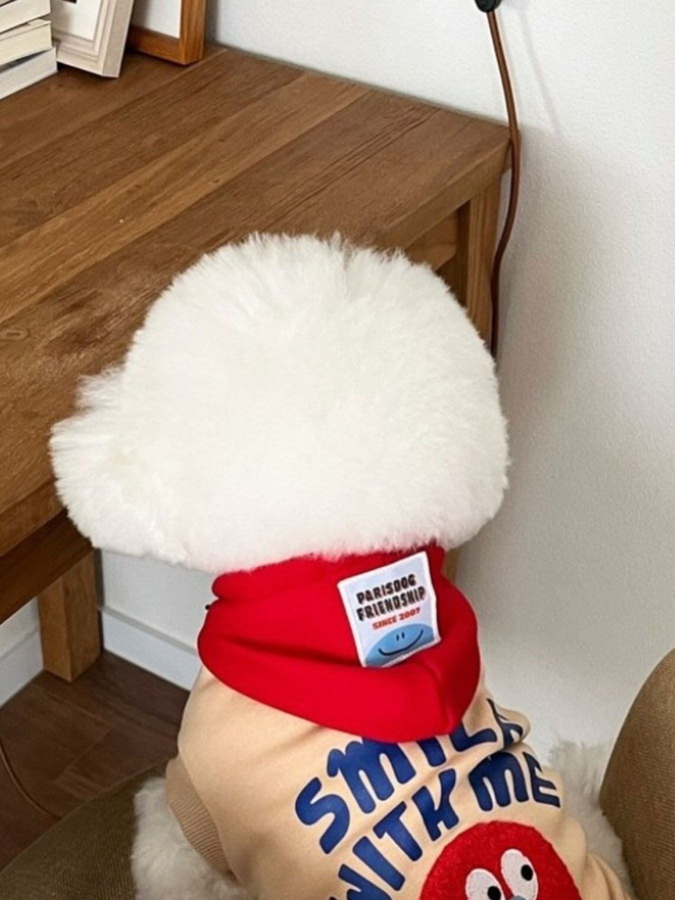 Cute Cartoon Pet Top - Loving It Shop