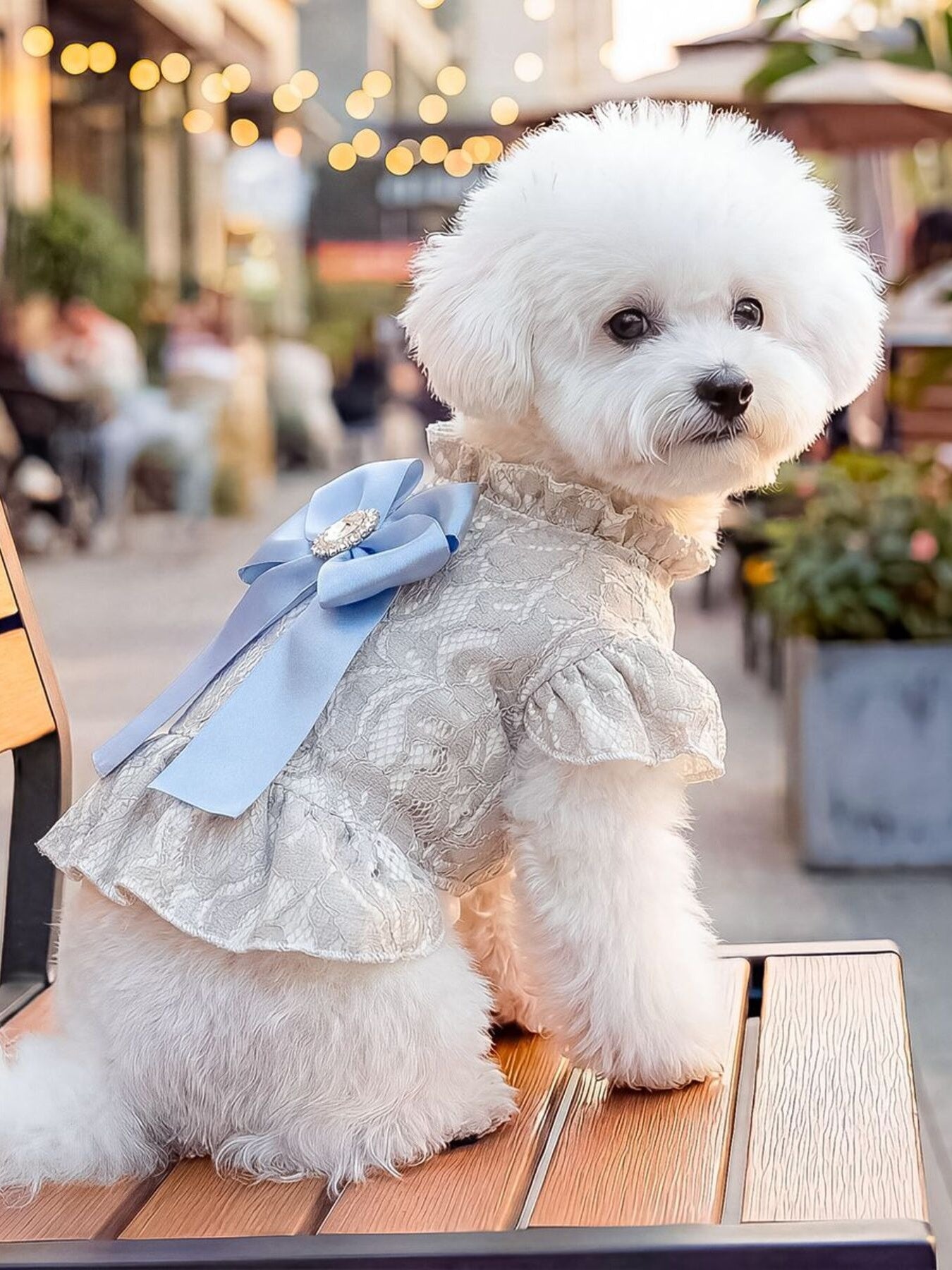 Ruffled Pet Dress with Bow - Loving It Shop