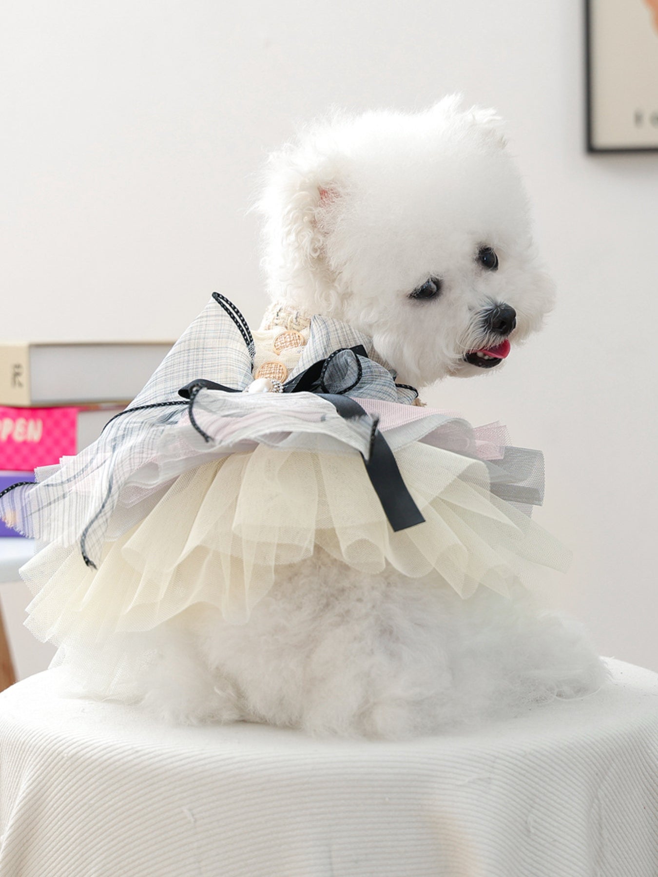 Tweed Pet Dress with Ruffle - Loving It Shop