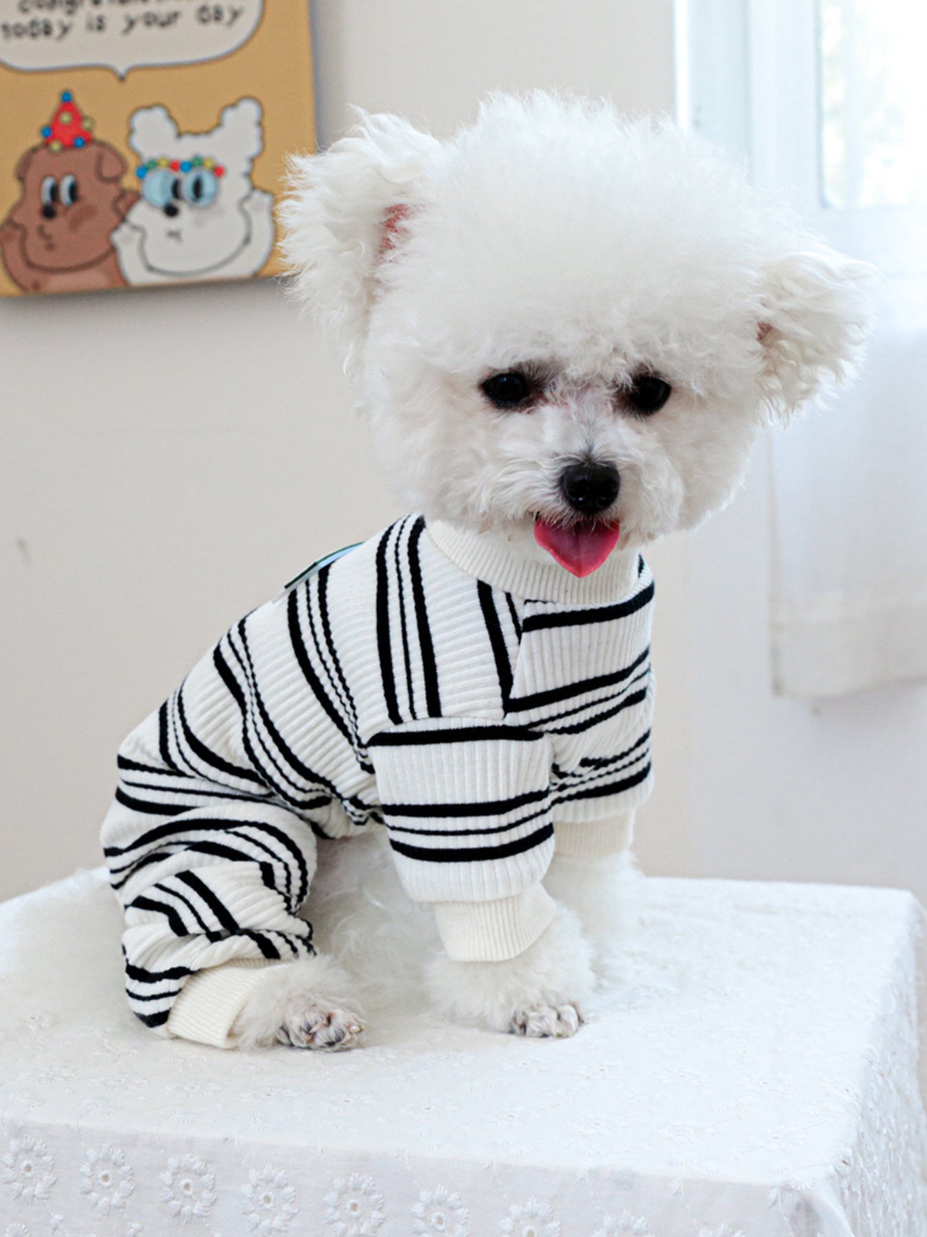 Breathable Knitted Pet Jumpsuits - Loving It Shop
