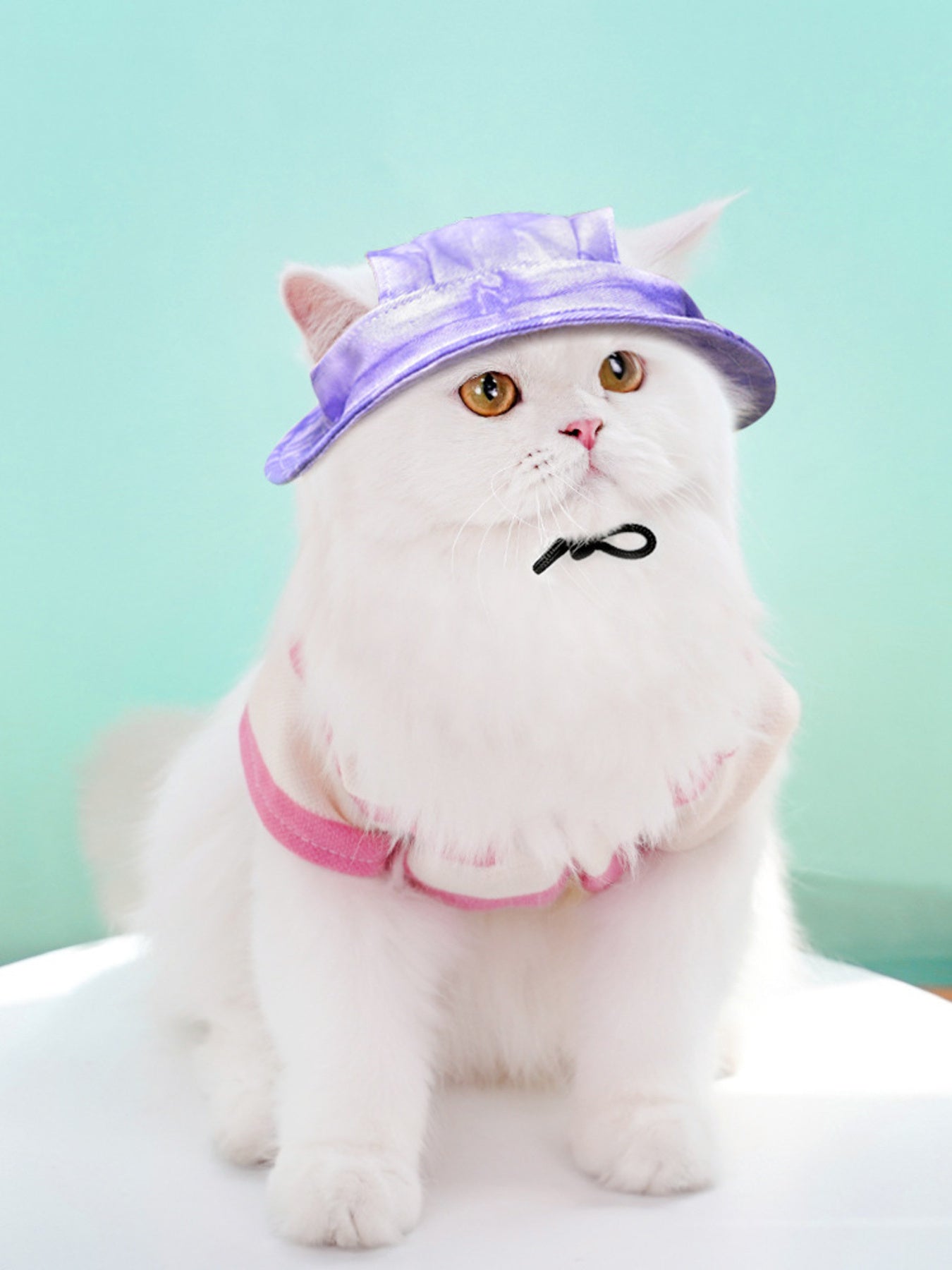Adjustable Pet Visor Hat - Loving It Shop
