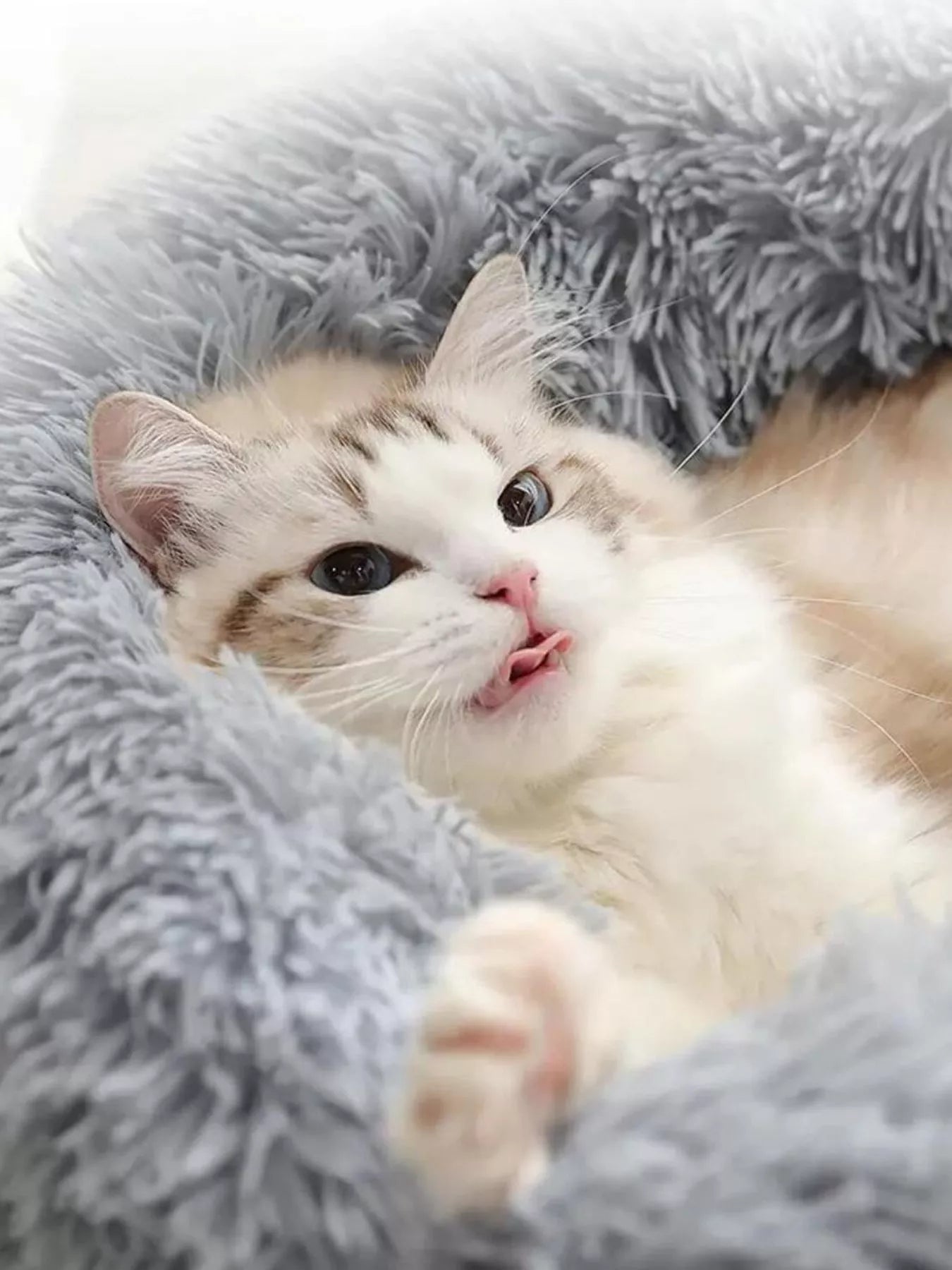 Fluffy Plush Donut Pet Nest - Loving It Shop