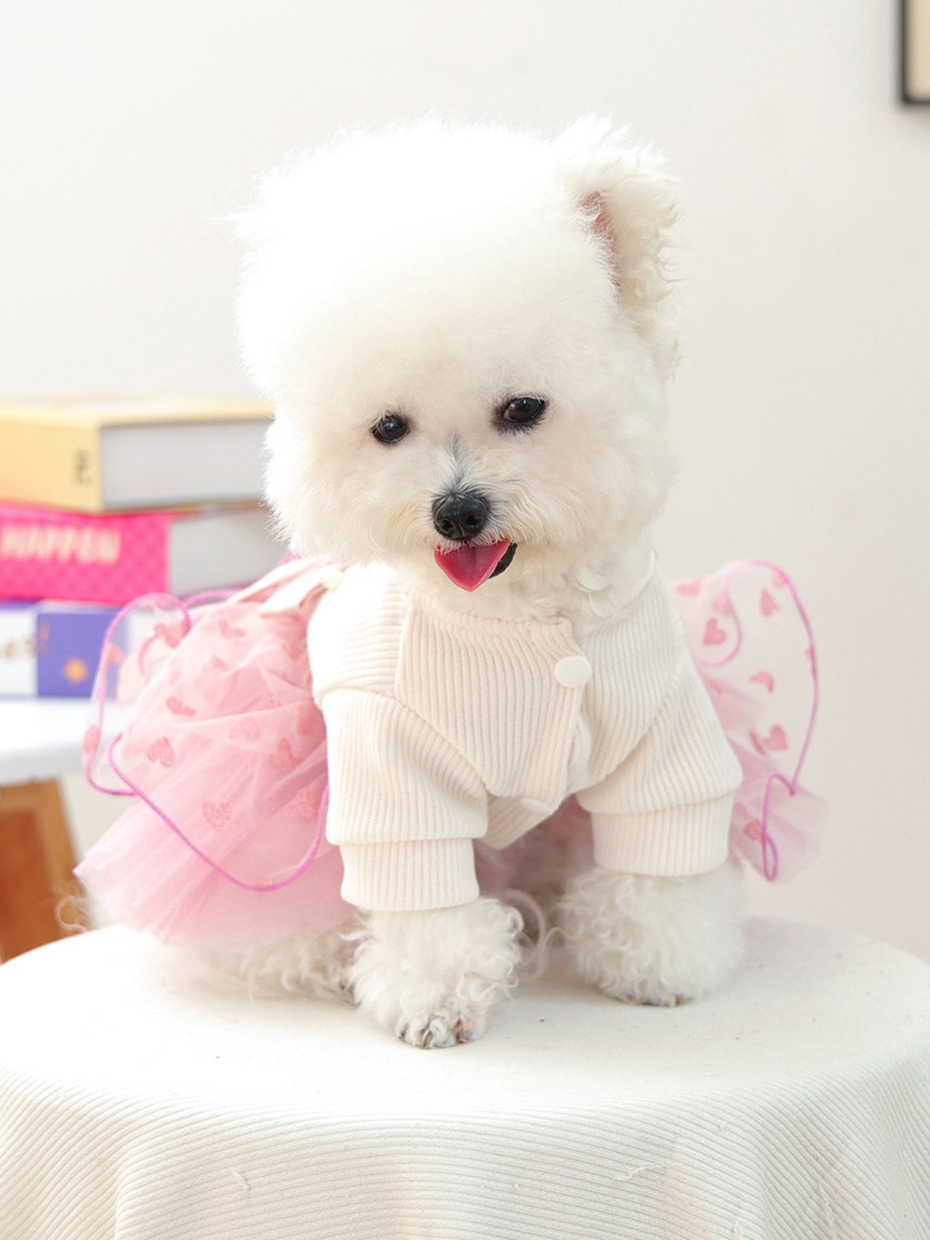 Pearl - Embellished Pet Dress - Loving It Shop