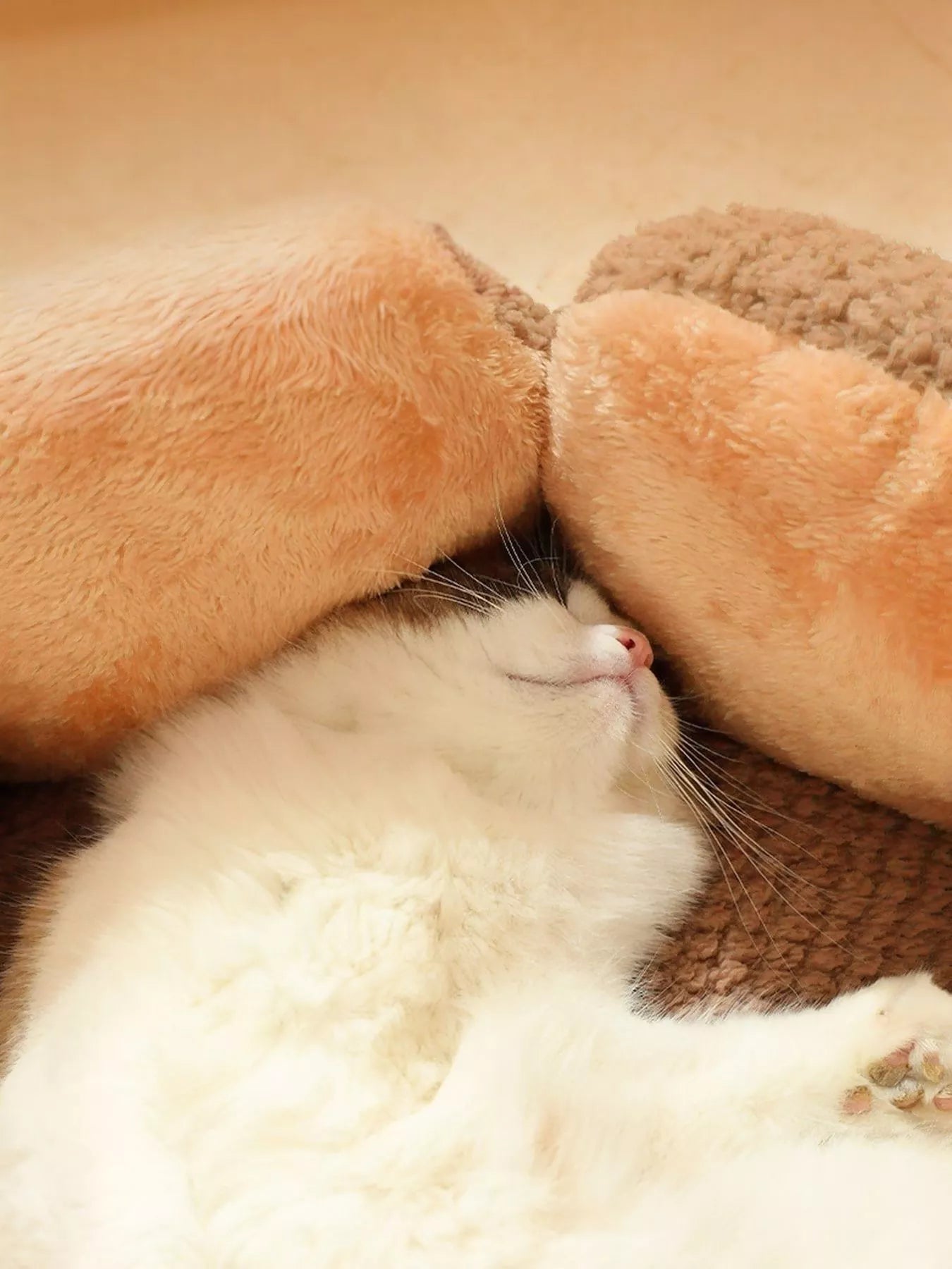 Flower Petal Plush Cozy Pet Nests - Loving It Shop
